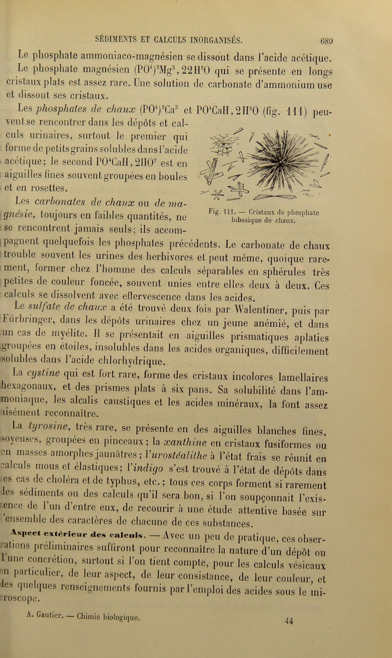 Ir -, -\\£. Fig. 111. — Cristaux de phosphate bibasique de chaux. SÉDIMENTS ET CALCULS INORGANISÉS. G89 Le phosphate ammoniaco-magnésien se dissout dans l’acide acétique. Le phosphate magnésien (P0*)8Mg3,22IUO qui se présente en longs ci istaux plats est assez rare. Une solution de carbonate d’ammonium use et dissout ses cristaux. Les phosphates de chaux (P0l)2Ca3 et P0*CaH,2H80 (fig. 111) peu- vent se rencontrer dans les dépôts et cal- culs urinaires, surtout le premier qui forme de petits grains solubles dans l’acide ‘ acétique; le second PO*CaH,21102 est en aiguilles fines souvent groupées en houles et en rosettes. Les carbonates de chaux ou de ma- gnésie, toujours en faibles quantités, ne se rencontrent jamais seuls; ils accom- pagnent quelquefois les phosphates précédents. Le carbonate de chaux trouble souvent les urines des herbivores et peut même, quoique rare- ment, former chez l’homme des calculs séparables en sphérules très petites de couleur foncée, souvent unies entre elles deux à deux. Ces calculs se dissolvent avec elïervescence dans les acides. Le sulfate de chaux a été trouvé deux fois par Walentiner, puis par Furbringer, dans les dépôts urinaires chez un jeune anémié, et dans .un cas de myélite. Il se présentait en aiguilles prismatiques aplaties ■groupées en étoiles, insolubles dans les acides organiques, difficilement solubles dans l’acide chlorhydrique. La cystine qui est fort rare, forme des cristaux incolores lamellaires hexagonaux, et des prismes plats à six pans. Sa solubilité dans l’am- moniaque, les alcalis caustiques et les acides minéraux, la font assez aisément reconnaître. La tyrosine, très rare, se présente en des aiguilles blanches fines, soyeuses, groupées en pinceaux; la xanthine en cristaux fusiformes ou en masses amorphes jaunâtres ; Yurostéalithe à l’état frais se réunit en calculs mous et élastiques; Y indigo s’est trouvé à l’état de dépôts dans es cas de choléra et de typhus, etc. ; tous ces corps forment si rarement les sédiments ou des calculs qu’il sera bon, si l’on soupçonnait l’exis- -ence de l’un d’entre eux, de recourir à une étude attentive basée sur ensemble des caractères de chacune de ces substances. Aspect extérieur des calculs. — Avec un peu de pratique, ces obser- vations préliminaires suffiront pour reconnaître la nature d’un dépôt ou une concrétion, surtout si l’on tient compte, pour les calculs vésicaux ■n particulier, de leur aspect, de leur consistance, de leur couleur, et les quelques renseignements fournis par l’emploi des acides sous le mi- croscope. A. Gautier. — Chimie biologique. ^