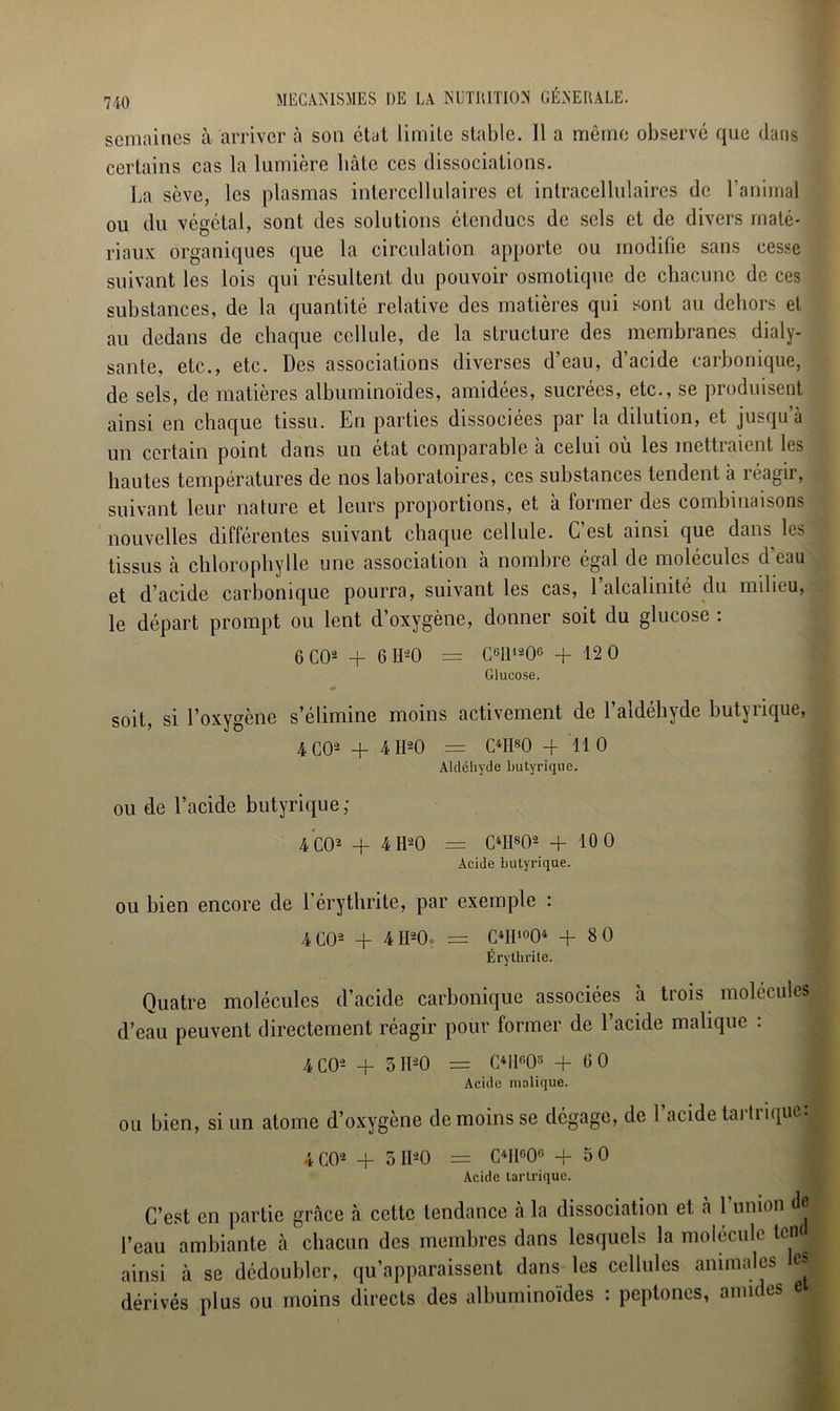 semaines à arriver à son état limite stable. Il a même observé que dans certains cas la lumière hâte ces dissociations. La sève, les plasmas interccllulaires et intracellulaires de l’animal ou du végétal, sont des solutions étendues de sels et de divers maté- riaux organiques que la circulation apporte ou modifie sans cesse suivant les lois qui résultent du pouvoir osmotique de chacune de ces substances, de la quantité relative des matières qui sont au dehors et au dedans de chaque cellule, de la structure des membranes dialy- sante, etc., etc. Des associations diverses d’eau, d’acide carbonique, de sels, de matières albuminoïdes, amidées, sucrées, etc., se produisent ainsi en chaque tissu. En parties dissociées par la dilution, et jusqu’à un certain point dans un état comparable à celui où les mettraient les hautes températures de nos laboratoires, ces substances tendent à réagir, suivant leur nature et leurs proportions, et à former des combinaisons nouvelles différentes suivant chaque cellule. C’est ainsi que dans les tissus à chlorophylle une association à nombre e&al de molécules d eau et d’acide carbonique pourra, suivant les cas, 1 alcalinité du milieu, le départ prompt ou lent d’oxygène, donner soit du glucose : 6 CO2 + GM) = C6I1,206 + 12 0 Glucose. ♦ » soit, si l’oxygène s’élimine moins activement de l’aldéhvde butyrique, 4 CO2 + 4M) = OIM) -+ 110 Aldéhyde butyrique. ou de l’acide butyrique ; 4 CO* + 4M) = OIM)2 + 10 0 Acide butyrique. ou bien encore de l’érythrite, par exemple : 4 CO2 + 4Mb = OII,004 + 8 0 Érythrite. Quatre molécules d’acide carbonique associées à trois molécules d’eau peuvent directement réagir pour former de l’acide malique : 4 CO2 + 5 IM) = Oll°05 + GO Acide malique. ou bien, si un atome d’oxygène de moins se dégage, de l’acide tartnque: 4CO2 + 5 IM) = OIM)6 + 50 Acide larlriquc. C’est en partie grâce à cette tendance à la dissociation et à 1 union de l’eau ambiante à chacun des membres dans lesquels la molécule ton ainsi à se dédoubler, qu’apparaissent dans les cellules animales les dérivés plus ou moins directs des albuminoïdes : peptones, amides e.