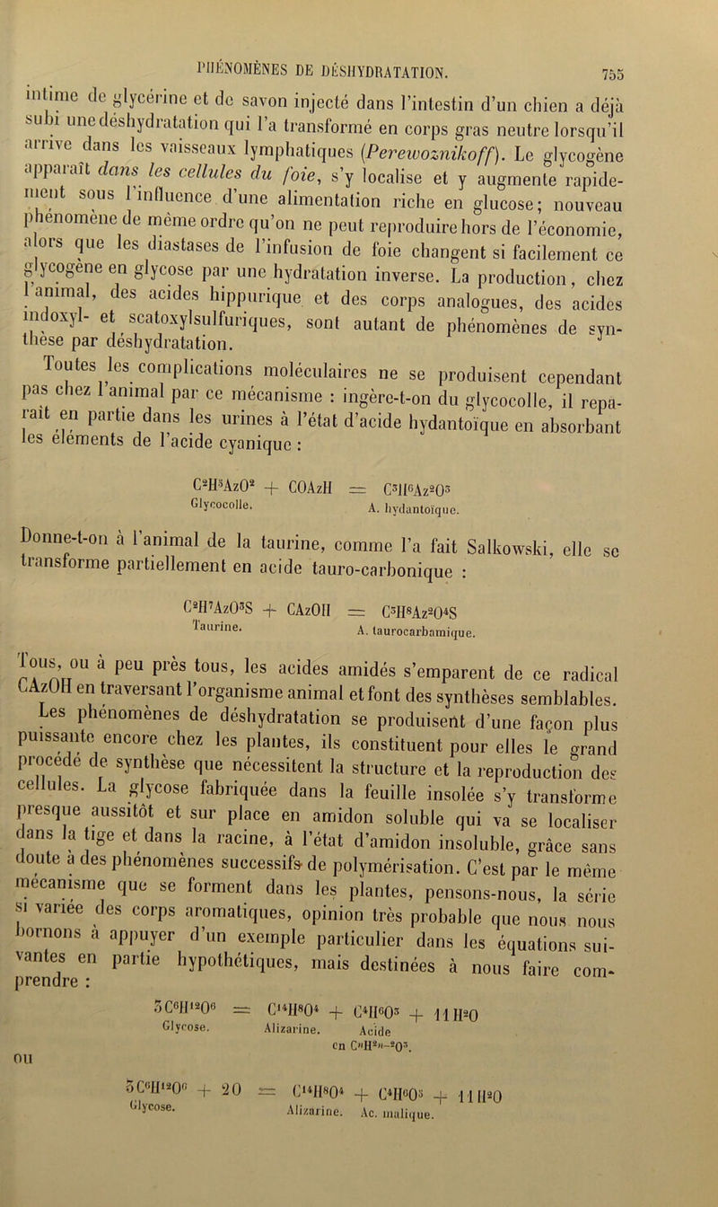 intime de glycérine et de savon injecté dans l’intestin d’un chien a déjà bU . une déshydratation qui l’a transformé en corps gras neutre lorsqu’il arrive dans les vaisseaux lymphatiques (Perewoznikoff). Le glycogène appaiaît dans les cellules du foie, s y localise et y augmente rapide- ment sous l’influence d’une alimentation riche en glucose; nouveau phénomène de même ordre qu’on ne peut reproduire hors de l’économie, a ors que les diastases de l’infusion de foie changent si facilement ce glycogène en glycose par une hydratation inverse. La production, chez animal, des acides hippurique et des corps analogues, des acides indoxyl- et scatoxylsulfuriques, sont autant de phénomènes de syn- thèse par déshydratation. J Toutes les complications moléculaires ne se produisent cependant pas chez 1 animal par ce mécanisme : ingère-t-on du glycocolle, il répa- rai en partie dans les urines à l’état d’acide hydantoïque en absorbant les éléments de 1 acide cyanique : C2H3Az02 -f COAzIi = C3lIGAz203 Glycocolle. A. hydantoïque. Donne-t-on a 1 animal de la taurine, comme l’a fait Salkowski, elle se transforme partiellement en acide tauro-carbonique : C2H7Az03S + CAzOII = C3H8Az204S laurine. A. taurocarbamique. lotis, 011 a peu près tous, les acides amidés s’emparent de ce radical , 0H e Inversant l’organisme animal et font des synthèses semblables. Les phénomènes de déshydratation se produisent d’une façon plus puissante encore chez les plantes, ils constituent pour elles le grand procédé de synthèse que nécessitent la structure et la reproduction des cellules. La glycose fabriquée dans la feuille insolée s’y transforme presque aussitôt et sur place en amidon soluble qui va se localiser dans la tige et dans la racine, à l’état d’amidon insoluble, grâce sans doute a des phénomènes successifs de polymérisation. C’est par le même mécanisme que se forment dans les plantes, pensons-nous, la série SI vanee des coips aromatiques, opinion très probable que nous nous bornons a appuyer d’un exemple particulier dans les équations sui- vantes en partie hypothétiques, mais destinées à nous faire corn- prendre : 5 C6H1206 =s Cl4H804 -f C4HG03 + 11H20 Glycose. Alizarine. Acide OU 5CgH120g Glycose. 20 en OH2«-*05. C14H804 -f C4I1°03 -f- miao Alizarine. Ac. malique.