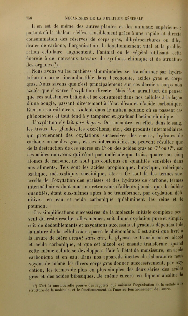Il en est de même des autres plantes et des animaux supérieurs : partout où la chaleur s’élève sensiblement grâce à une rapide et directe consommation des réserves de corps gras, d’hydrocarbures ou d’hy- drates de carbone, l’organisation, le fonctionnement vital et la prolifé- ration cellulaire augmentent, l’animal ou le végétal utilisant cette énergie à de nouveaux travaux de synthèse chimique et de structure des organes ('). Nous avons vu les matières albuminoïdes se transformer par hydra- tation en urée, incombustible dans l’économie, acides gras et corps gras. Nous savons que c’est principalement sur ces derniers corps non azotés que s’exerce l’oxydation directe. Mais l’on aurait tort de penser que ces substances brûlent et se consument dans nos cellules à la façon d’une bougie, passant directement à l’état d’eau et d’acide carbonique. Rien ne saurait être si violent dans le milieu aqueux où se passent ces phénomènes et tout tend à y tempérer et graduer l’action chimique. L’oxydation s’y fait par degrés. On rencontre, en effet, dans le sang, les tissus, les glandes, les excrétions, etc., des produits intermédiaires qui proviennent des oxydations successives des sucres, hydrates de carbone ou acides gras, et ces intermédiaires ne peuvent résulter que de la destruction de ces sucres en G6 ou des acides gras en C1G ou G18, car ces acides nouveaux qui n’ont par molécule que trois, quatre ou cinq atomes de carbone, ne sont pas contenus en quantités sensibles dans nos aliments. Tels sont les acides propionique, butyrique, valérique, oxalique, mésoxalique, succinique, etc.... Ce sont là les termes suc- cessifs de l’oxydation des graisses et des hydrates de carbone, termes intermédiaires dont nous ne retrouvons d’ailleurs jamais que de faibles quantités, étant eux-mêmes aptes à se transformer, par oxydation défi- nitive , en eau et acide carbonique qu’éliminent les reins et le poumon. Ces simplifications successives de la molécule initiale complexe peu- vent du reste résulter elles-mêmes, soit d’une oxydation pure et simple, soit de dédoublements et oxydations successifs et gradués dépendant de la nature de la cellule où se passe le phénomène. C’est ainsi que livré a la levure de bière vivant sans air, la glycose se transforme en alcool et acide carbonique, et que cet alcool est ensuite transformé, quand cette même cellule se développe à l’air à l’état de moisissure, en acide carbonique et en eau. Dans nos appareils inertes de laboratoire nous voyons de même les divers corps gras donner successivement, par oxy- dation, les termes de plus en plus simples des deux séries des acides gras et des acides bibasiques. De même encore en liqueur alcaline le (’) C’est là une nouvelle preuve des rapports qui unissent l'organisation de la cellule à I* structure de la molécule, et le fonctionnement de l’une au fonctionnement de l’autre.