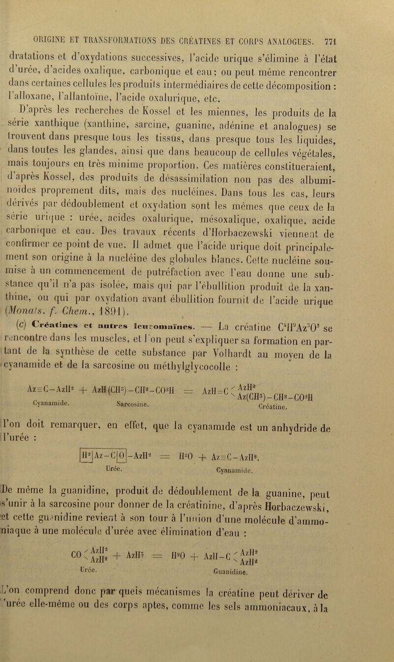 dratalions et d’oxydations successives, l’acide urique s’élimine cà l’état d urée, d acides oxalique, carbonique et eau; ou peut même rencontrer dans certaines cellules les produils intermédiaires de cette décomposition : 1 alloxane, 1 allantoïne, l’acide oxalurique, etc. D’après les recherches de Kossel et les miennes, les produits de la série xanthique (xanthine, sarcine, guanine, adénine et analogues) se trouvent dans presque tous les tissus, dans presque tous les liquides, dans toutes les glandes, ainsi que dans beaucoup de cellules végétales, mais toujours en très minime proportion. Ces matières constitueraient, d après Kossel, des produits de désassimilation non pas des albumi- noïdes pi oprement dits, mais des nucléines. Dans tous les cas, leurs dérivés par dédoublement et oxydation sont les mêmes que ceux de la suie inique . urée, acides oxalurique, mésoxalique, oxalique, acide cai boni que et eau. Des travaux récents d’Morbaczewski viennent de confirmer ce point de vue. 11 admet que l’acide urique doit principale- ment son origine à la nucléine des globules blancs. Cette nucléine sou- mise à un commencement de putréfaction avec l’eau donne une sub- stance qu il n a pas isolée, mais qui par l’ébullition produit de la xan- tlnne, ou qui par oxydation avant ébullition fournit de l’acide urique (Monals. f. Chem., 1891). (C) Créatmcs et autres Icucomaïncs. — La Créâtilie C4ll9Az30J Sü rencontre dans les muscles, et l 'on peut s’expliquer sa formation en par- tant de la synthèse de cette substance par Volhardt au moven de la cyanamide et de la sarcosine ou méthylglycocolle : Az=C-Azll- + AzH (CH3) — CH1 2 — CO-H = AzIl = C Cyanamide. Sarcosine. / Azll2 N Az(CH3) - CH2 - C02H Créatine. 1 on doit îemarquer, en effet, que la cyanamide est un anhydride de l’urée : II2 Az-CiO Urée. -AzH2 = H20 + AzhC-AzII2. Cyanamide. De même la guanidine, produit de dédoublement de la guanine, peut s’unir à la sarcosine pour donner de la créatinine, d’après Horbaczewski, et cette guanidine revient à son tour à l’union d’une molécule d’ammo- niaque à une molécule d’urée avec élimination d’eau : C0 ' Azll* + Azl15 Urce. H-0 + AzH-G Azll2 N Azll2 Guanidine. L’on comprend donc par quels mécanismes la créatine peut dériver de urée elle-même ou des corps aptes, comme les sels ammoniacaux, à la