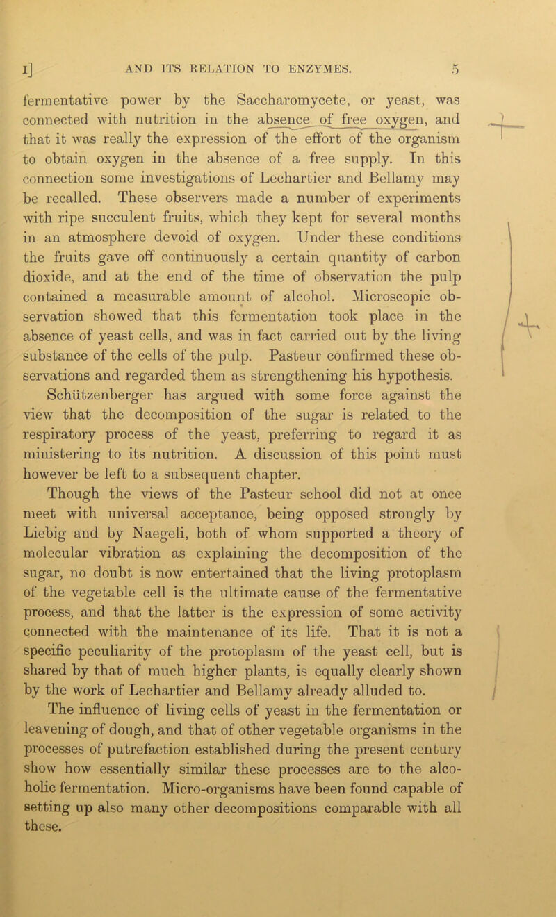 fermentative power by the Saccharomycete, or yeast, was connected with nutrition in the absence__pf free oxygen, and that it was really the expression of the effort of the organism to obtain oxygen in the absence of a free supply. In this connection some investigations of Lechartier and Bellamy may be recalled. These observers made a number of experiments Avith ripe succulent fruits, which they kept for several months in an atmosphere devoid of oxygen. Under these conditions the fruits gave off continuously a certain quantity of carbon dioxide, and at the end of the time of observation the pulp contained a measurable amount of alcohol. Microscopic ob- servation showed that this fermentation took place in the absence of yeast cells, and was in fact carried out by the living substance of the cells of the pulp. Pasteur confirmed these ob- servations and regarded them as strengthening his hypothesis. Schiitzenberger has argued with some force against the view that the decomposition of the sugar is related to the respiratory process of the yeast, preferring to regard it as ministering to its nutrition. A discussion of this point must however be left to a subsequent chapter. Though the views of the Pasteur school did not at once meet with universal acceptance, being opposed strongly by Liebig and by Naegeli, both of whom supported a theory of molecular vibration as explaining the decomposition of the sugar, no doubt is now entertained that the living protoplasm of the vegetable cell is the ultimate cause of the fermentative process, and that the latter is the expression of some activity connected with the maintenance of its life. That it is not a specific peculiarity of the protoplasm of the yeast cell, but is shared by that of much higher plants, is equally clearly shown by the work of Lechartier and Bellamy already alluded to. The influence of living cells of yeast in the fermentation or leavening of dough, and that of other vegetable organisms in the processes of putrefaction established during the present century show how essentially similar these processes are to the alco- holic fermentation. Micro-organisms have been found capable of setting up also many other decompositions comparable with all these.