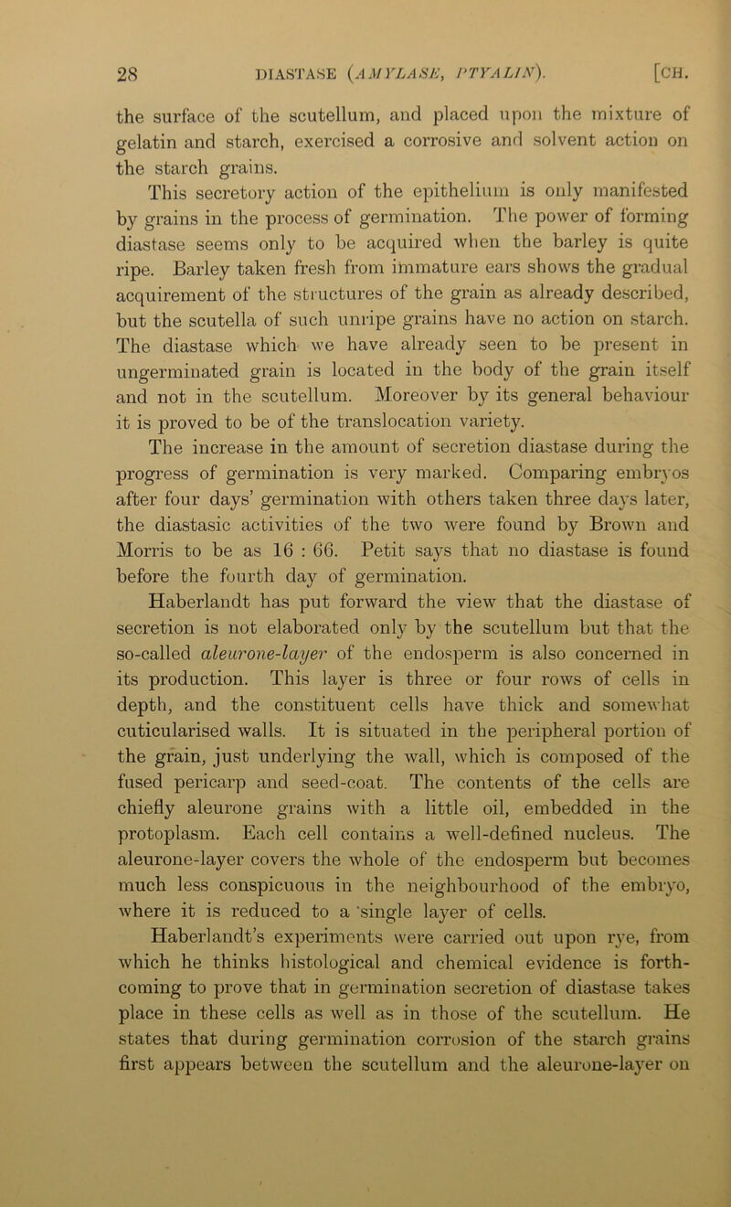 the surface of the scutellum, and placed upon the mixture of gelatin and starch, exercised a corrosive and solvent action on the starch grains. This secretory action of the epithelium is only manifested by grains in the process of germination. The power of forming diastase seems only to be acquired when the barley is quite ripe. Barley taken fresh from immature ears shows the gradual acquirement of the structures of the grain as already described, but the scutella of such unripe grains have no action on starch. The diastase which we have already seen to be present in ungerminated grain is located in the body of the grain itself and not in the scutellum. Moreover by its general behaviour it is proved to be of the translocation variety. The increase in the amount of secretion diastase during the progress of germination is very marked. Comparing embryos after four days’ germination with others taken three days later, the diastasic activities of the two were found by Brown and Morris to be as 16 : 66. Petit says that no diastase is found before the fourth day of germination. Haberlandt has put forward the view that the diastase of secretion is not elaborated only by the scutellum but that the so-called alearone-layer of the endosjDerm is also concerned in its production. This layer is three or four rows of cells in depth, and the constituent cells have thick and somewhat cuticularised walls. It is situated in the peripheral portion of the grain, just underlying the wall, which is composed of the fused pericarp and seed-coat. The contents of the cells are chiefly aleurone grains with a little oil, embedded in the protoplasm. Each cell contains a well-defined nucleus. The aleurone-layer covers the whole of the endosperm but becomes much less conspicuous in the neighbourhood of the embryo, Avhere it is reduced to a 'single layer of cells. Haberlandt’s experiments were carried out upon rye, from which he thinks histological and chemical evidence is forth- coming to prove that in germination secretion of diastase takes place in these cells as well as in those of the scutellum. He states that during germination corrosion of the starch grains first appears between the scutellum and the aleurone-layer on