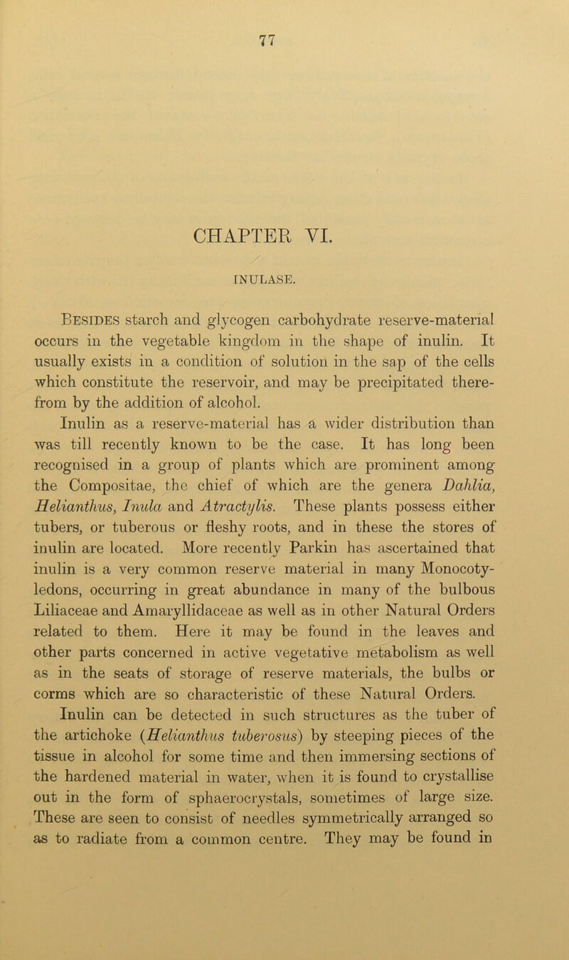 CHAPTER VI. / INULASE. Besides starch and gl}'cogen carbohydrate reserve-material occurs in the vegetable kingdom in the shape of inulin. It usually exists in a condition of solution in the sap of the cells which constitute the reservoir, and may be precipitated there- from by the addition of alcohol. Inulin as a reserve-material has a wider distribution than was till recently known to be the case. It has long been recognised in a group of plants which are prominent among the Compositae, the chief of which are the genera Dahlia, Helianthus, Inula and Atractylis. These plants possess either tubers, or tuberous or fleshy roots, and in these the stores of inulin are located. More recently Parkin has ascertained that inulin is a very common reserve material in many Monocoty- ledons, occurring in great abundance in many of the bulbous Liliaceae and Amaryllidaceae as well as in other Natural Orders related to them. Here it may be found in the leaves and other parts concerned in active vegetative metabolism as well as in the seats of storage of reserve materials, the bulbs or corms which are so characteristic of these Natural Orders. Inulin can be detected in such structures as the tuber of the artichoke {Helianthus tuberosus) by steeping pieces of the tissue in alcohol for some time and then immersing sections of the hardened material in water, when it is found to crystallise out in the form of sphaerocrystals, sometimes of large size. These are seen to consist of needles symmetrically arranged so as to radiate from a common centre. They may be found in