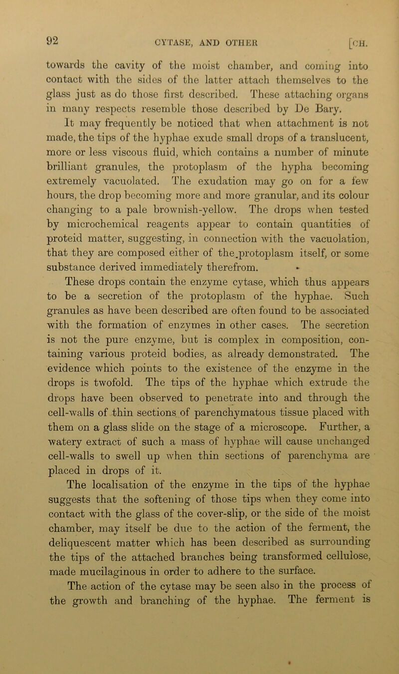 towards the cavity of the moist chamber, and coming into contact with the sides of the latter attach themselves to the glass just as do those first described. These attaching organs in many respects resemble those described by De Bary. It may frequently be noticed that when attachment is not made, the tips of the hyphae exude small drops of a translucent, more or less viscous fluid, which contains a number of minute brilliant granules, the protoplasm of the hypha becoming extremely vacuolated. The exudation may go on for a few hours, the drop becoming more and more granular, and its colour changing to a pale brownish-yellow. The drops when tested by microchemical reagents appear to contain quantities of proteid matter, suggesting, in connection with the vacuolation, that they are composed either of the .protoplasm itself, or some substance derived immediately therefrom. These drops contain the enzyme cytase, which thus appears to be a secretion of the protoplasm of the h}q3hae. Such granules as have been described are often found to be associated with the formation of enzymes in other cases. The secretion is not the pure enzyme, but is complex in composition, con- taining various proteid bodies, as already demonstrated. The evidence which points to the existence of the enzyme in the drops is twofold. The tips of the hyphae which extrude the drops have been observed to penetrate into and through the cell-walls of thin sections of parenchymatous tissue placed with them on a glass slide on the stage of a microscope. Further, a watery extract of such a mass of hyphae will cause unchanged cell-walls to swell up when thin sections of parenchyma are placed in drops of it. The localisation of the enzyme in the tips of the hyphae suggests that the softening of those tips when they come into contact with the glass of the cover-slip, or the side of the moist chamber, may itself be due to the action of the ferment, the deliquescent matter which has been described as surrounding the tips of the attached branches being transformed cellulose, made mucilaginous in order to adhere to the surface. The action of the cytase may be seen also in the process ot the growth and branching of the hyphae. The ferment is
