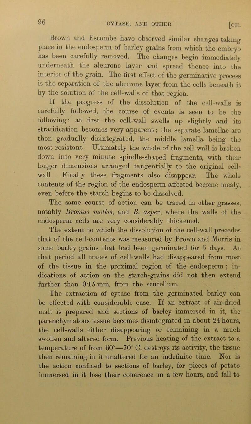 Brown and Escombe have observed similar changes taking place in the endosperm of barley grains from which the embryo has been carefully removed. The changes begin immediately underneath the aleurone layer and spread thence into the interior of the grain. The first effect of the germinative process is the separation of the aleurone layer from the cells beneath it by the solution of the cell-walls of that region. If the progress of the dissolution of the cell-walls is carefully followed, the course . of events is seen to be the following: at first the cell-wall swells up slightly and its stratification becomes very apparent; the separate lamellae are then gradually disintegrated, the middle lamella being the most resistant. Ultimately the whole of the cell-wall is broken down into very minute spindle-shaped fragments, with their longer dimensions arranged tangentially to the original cell- wall. Finally these fragments also disappear. The whole contents of the region of the endosperm affected become mealy, even before the starch begins to be dissolved. The same course of action can be traced in other grasses, notably Bromus mollis, and B. asper, where the walls of the endosperm cells are very considerably thickened. The extent to which the dissolution of the cell-wall precedes that of the cell-contents was measured by Brown and Morris in some barley grains that had been germinated for 5 days. At that period all traces of cell-walls had disappeared from most of the tissue in the proximal region of the endosperm ; in- dications of action on the starch-grains did not then extend further than 0T5mm. from the scutellum. The extraction of cytase from the germinated barley can be effected with considerable ease. If an extract of air-dried malt is prepared and sections of barley immersed in it, the parenchymatous tissue becomes disintegrated in about 24 hours, the cell-walls either disappearing or remaining in a much swollen and altered form. Previous heating of the extract to a temperature of from 60°—70° C. destroys its activity, the tissue then remaining in it unaltered for an indefinite time. Nor is the action confined to sections of barley, for pieces of potato immersed in it lose their coherence in a few hours, and fall to