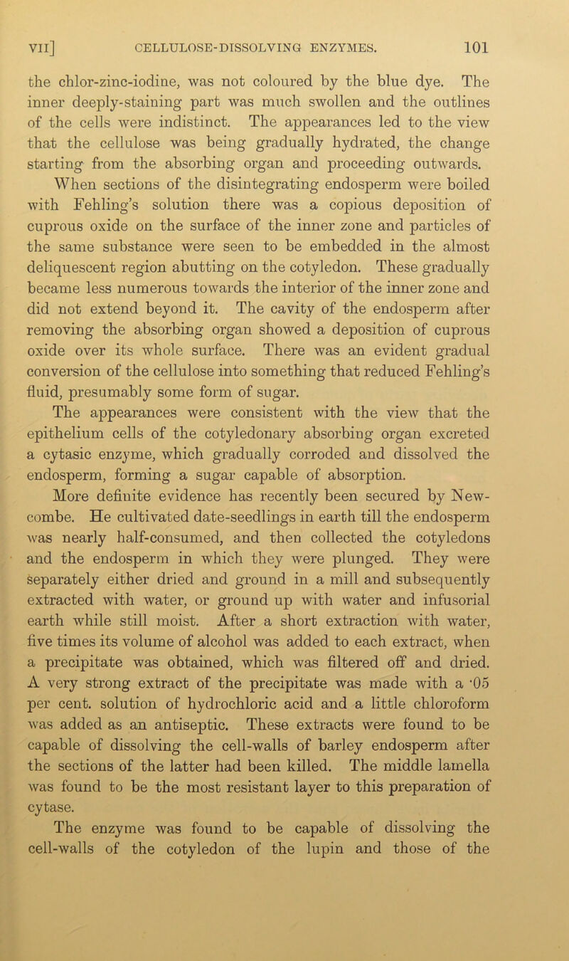 the chlor-zinc-iodiae, was not coloured by the blue dye. The inner deeply-staining part was much swollen and the outlines of the cells were indistinct. The appearances led to the view that the cellulose was being gradually hydrated, the change starting from the absorbing organ and proceeding outwards. When sections of the disintegrating endosperm were boiled with Fehling’s solution there was a copious deposition of cuprous oxide on the surface of the inner zone and particles of the same substance were seen to be embedded in the almost deliquescent region abutting on the cotyledon. These gradually became less numerous towards the interior of the inner zone and did not extend beyond it. The cavity of the endosperm after removing the absorbing organ showed a deposition of cuprous oxide over its whole surface. There was an evident gradual conversion of the cellulose into something that reduced Fehling’s fluid, presumably some form of sugar. The appearances were consistent with the view that the epithelium cells of the cotyledonary absorbing organ excreted a cytasic enzyme, which gradually corroded and dissolved the endosperm, forming a sugar capable of absorption. More definite evidence has recently been secured by New- combe. He cultivated date-seedlings in earth till the endosperm was nearly half-consumed, and then collected the cotyledons and the endosperm in which they were plunged. They were separately either dried and ground in a mill and subsequently extracted with water, or ground up with water and infusorial earth while still moist. After a short extraction with water, five times its volume of alcohol was added to each extract, when a precipitate was obtained, which was filtered off and dried. A very strong extract of the precipitate was made with a ‘05 per cent, solution of hydrochloric acid and a little chloroform was added as an antiseptic. These extracts were found to be capable of dissolving the cell-walls of barley endosperm after the sections of the latter had been killed. The middle lamella was found to be the most resistant layer to this preparation of cytase. The enzyme was found to be capable of dissolving the cell-walls of the cotyledon of the lupin and those of the