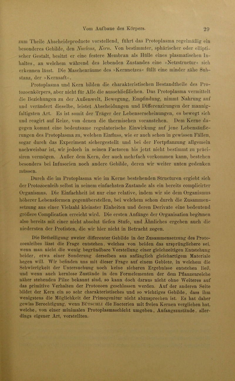 zum Tlieile Abscheideproducte vorstellend, führt das Protoplasma regelmäßig ein besonderes Gebilde, den Nucleus, Kern. Von bestimmter, sphärischer oder ellipti- scher Gestalt, besitzt er eine festere Membran als Hülle eines plasmatischen In- haltes, an welchem während des lebenden Zustandes eine »Netzstructur« sich erkennen lässt. Die Maschenräume des »Kernnetzes« füllt eine minder zähe Sub- stanz, der »Kernsaft«. Protoplasma und Kern bilden die charakteristischen Bestandtheile des Pro- tozoenkörpers, aber nicht für Alle die ausschließlichen. Das Protoplasma vermittelt die Beziehungen zu der Außenwelt, Bewegung, Empfindung, nimmt Nahrung auf und verändert dieselbe, leistet Abscheidungen und Dilferenzirungen der mannig- faltigsten Art. Es ist somit der Träger der Lebenserscheinungen, es bewegt sich und reagirt auf Reize, von denen die thermischen voranstehen. Dem Kerne da- gegen kommt eine bedeutsame regulatorische Einwirkung auf jene Lebensäuße- rungen des Protoplasma zu, welchen Einfluss, wie er auch schon in gewissen Fällen, sogar durch das Experiment sichergestellt und bei der Fortpflanzung allgemein nachweisbar ist, wir jedoch in seinen Factoren bis jetzt nicht bestimmt zu präci- siren vermögen. Außer dem Kern, der auch mehrfach Vorkommen kann, bestehen besonders bei Infusorien noch andere Gebilde, deren wir weiter unten gedenken müssen. Durch die im Protoplasma wie im Kerne bestehenden Structuren ergiebt sich der Protozoenleib selbst in seinem einfachsten Zustande als ein bereits complicirter Organismus. Die Einfachheit ist nur eine relative, indem wir sie dem Organismus höherer Lebensformen gegenüberstellen, bei welchem schon durch die Zusammen- setzung aus einer Vielzahl kleinster Einheiten und deren Derivate eine bedeutend größere Complication erreicht wird. Die ersten Anfänge der Organisation beginnen also bereits mit einer nicht absolut tiefen Stufe, und Ähnliches ergeben auch die niedersten der Protisten, die wir hier nicht in Betracht zogen. Die Betheiligung zweier differenter Gebilde in der Zusammensetzung des Proto- zoenleibes lässt die Frage entstehen, welches von beiden das ursprünglichere sei, wenn man nicht die wenig begründbare Vorstellung einer gleichzeitigen Entstehung- beider, etwa einer Sonderung derselben aus anfänglich gleichartigem Materiale hegen will. Wir befinden uns mit dieser Frage auf einem Gebiete, in welchem die Schwierigkeit der Untersuchung noch keine sicheren Ergebnisse entstehen ließ, und wenn auch kernlose Zustände in den Formelementen der dem Pflanzenreiche näher stehenden Pilze bekannt sind, so kann doch daraus nicht ohne Weiteres auf das primitive Verhalten der Protozoen geschlossen werden. Auf der anderen Seite bildet der Kern ein so sehr charakteristisches und so wichtiges Gebilde, dass ihm wenigstens die Möglichkeit der Primogenitur nicht abzusprechen ist. Es hat daher gewiss Berechtigung, wenn Bütschli die Bacterien mit freien Kernen verglichen hat. welche, von einer minimalen Protoplasmaschicht umgeben, Anfangszustände, aller- dings eigener Art, vorstellten.