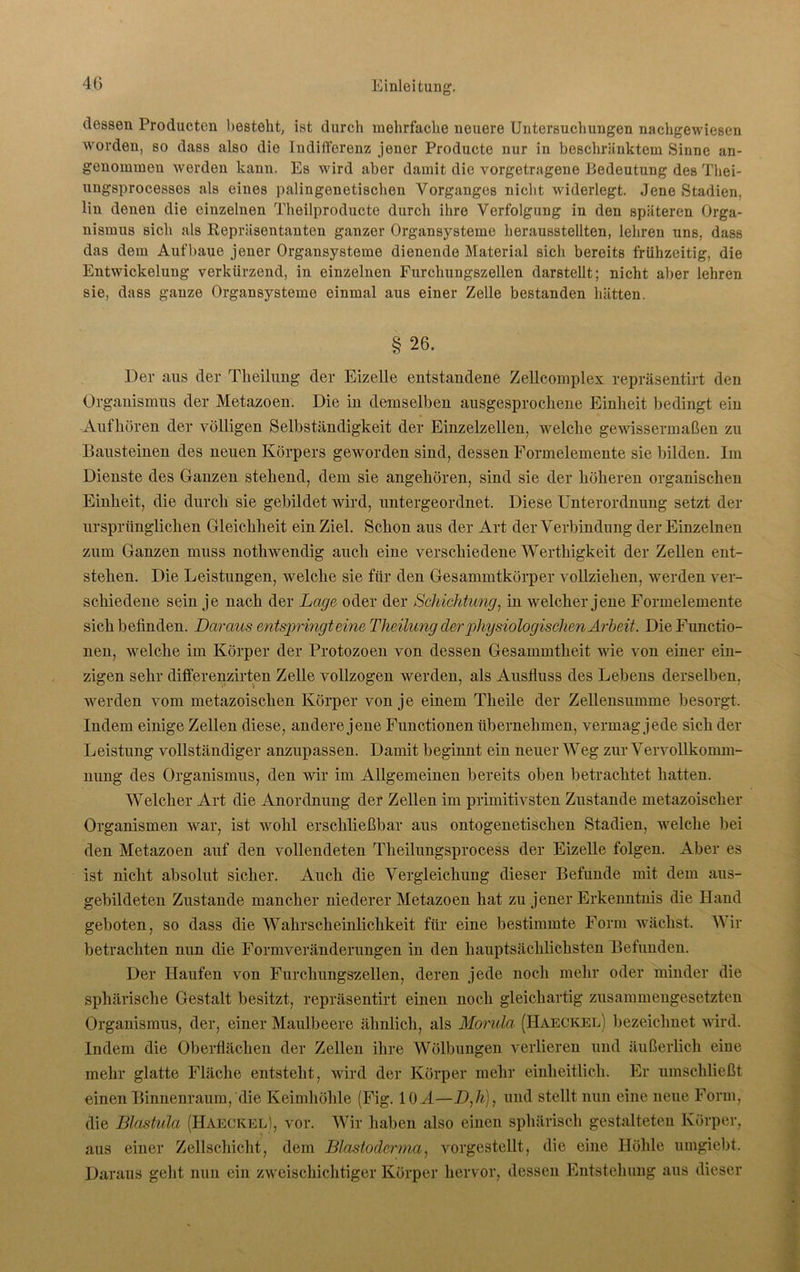 dessen Producten bestellt, ist durch mehrfache neuere Untersuchungen nachgewiesen worden, so dass also die Indifferenz jener Producte nur in beschränktem Sinne an- genommen werden kann. Es wird aber damit die vorgetragene Bedeutung des Tliei- ungsprocesses als eines palingenetischen Vorganges nicht widerlegt. Jene Stadien, lin denen die einzelnen Theilproducte durch ihre Verfolgung in den späteren Orga- nismus sich als Repräsentanten ganzer Organsysteme herausstellten, lehren uns, dass das dem Auf baue jener Organsysteme dienende Material sich bereits frühzeitig, die Entwickelung verkürzend, in einzelnen Furchungszellen darstellt; nicht aber lehren sie, dass ganze Organsysteme einmal aus einer Zelle bestanden hätten. § 26. Der aus der Theilung der Eizelle entstandene Zellcomplex repräsentirt den Organismus der Metazoen. Die in demselben ausgesprochene Einheit bedingt ein Aufhören der völligen Selbständigkeit der Einzelzellen, welche gewissermaßen zu Bausteinen des neuen Körpers geworden sind, dessen Formelemente sie bilden. Im Dienste des Ganzen stehend, dem sie angehören, sind sie der höheren organischen Einheit, die durch sie gebildet wird, untergeordnet. Diese Unterordnung setzt der ursprünglichen Gleichheit ein Ziel. Schon aus der Art der Verbindung der Einzelnen zum Ganzen muss nothwendig auch eine verschiedene Werthigkeit der Zellen ent- stehen. Die Leistungen, welche sie für den Gesammtkörper vollziehen, werden ver- schiedene sein je nach der Lage oder der Schichtung, in welcher jene Formelemente sich befinden. Daraus entspringt eine Theilung der physiologischen Arbeit. Die Functio- nen, welche im Körper der Protozoen von dessen Gesammtheit wie von einer ein- zigen sehr differenzirten Zelle vollzogen werden, als Ausfluss des Lebens derselben, werden vom metazoischen Körper von je einem Theile der Zellensumme besorgt. Indem einige Zellen diese, andere jene Functionen übernehmen, vermag jede sich der Leistung vollständiger anzupassen. Damit beginnt ein neuer Weg zur Vervollkomm- nung des Organismus, den wir im Allgemeinen bereits oben betrachtet hatten. Welcher Art die Anordnung der Zellen im primitivsten Zustande metazoischer Organismen war, ist wohl erschließbar aus ontogenetischen Stadien, welche bei den Metazoen auf den vollendeten Theilungsprocess der Eizelle folgen. Aber es ist nicht absolut sicher. Auch die Vergleichung dieser Befunde mit dem aus- gebildeten Zustande mancher niederer Metazoen hat zu jener Erkenntnis die Hand geboten, so dass die Wahrscheinlichkeit für eine bestimmte Form wächst. Wir betrachten nun die Formveränderungen in den hauptsächlichsten Befunden. Der Haufen von Furchungszellen, deren jede noch mehr oder minder die sphärische Gestalt besitzt, repräsentirt einen noch gleichartig zusammengesetzten Organismus, der, einer Maulbeere ähnlich, als Morula (HaeCKEl) bezeichnet wird. Indem die Oberflächen der Zellen ihre Wölbungen verlieren und äußerlich eine melir glatte Fläche entsteht, wird der Körper mehr einheitlich. Er umschließt einen Binnenraum, die Keimhöhle (Fig. 10 A—D,h), und stellt nun eine neue Form, die Blastula (Haeckel), vor. Wir haben also einen sphärisch gestalteten Körper, aus einer Zellschicht, dem Blastoderma, vorgestellt, die eine Höhle umgiebt. Daraus geht nun ein zweischichtiger Körper hervor, dessen Entstellung aus dieser