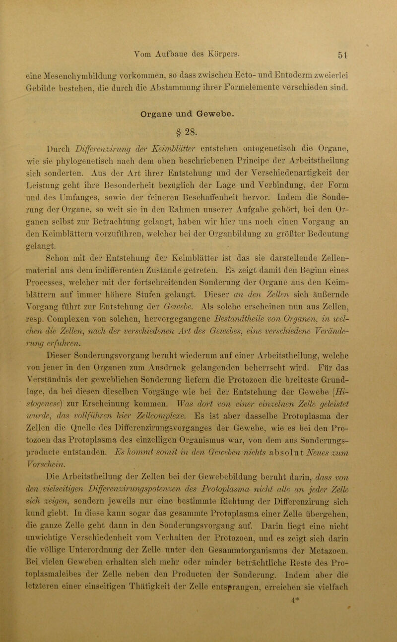 eine Mesenchymbildung Vorkommen, so dass zwischen Ecto- und Entoderm zweierlei Gebilde bestehen, die durch die Abstammung ihrer Formelemente verschieden sind. Organe und Gewebe. § 28. Durch Differenzirung der Keimblätter entstehen ontogenetiscli die Organe, wie sie phylogenetisch nach dem oben beschriebenen Principe der Arbeitsteilung sich sonderten. Aus der Art ihrer Entstehung und der Verschiedenartigkeit der Leistung geht ihre Besonderheit bezüglich der Lage und Verbindung, der Form und des Umfanges, sowie der feineren Beschaffenheit hervor. Indem die Sonde- rung der Organe, so weit sie in den Rahmen unserer Aufgabe gehört, bei den Or- ganen selbst zur Betrachtung gelangt, haben wir hier uns noch einen Vorgang an den Keimblättern vorzuffthren, welcher bei der Organbildung zu größter Bedeutung gelangt. Schon mit der Entstehung der Keimblätter ist das sie darstellende Zellen- material aus dem indifferenten Zustande getreten. Es zeigt damit den Beginn eines Processes, welcher mit der fortschreitenden Sonderung der Organe aus den Keim- blättern auf immer höhere Stufen gelangt. Dieser an den Zellen sich äußernde Vorgang führt zur Entstehung der Geivebe. Als solche erscheinen nun aus Zellen, resp. Complexen von solchen, hervorgegangene Bestandtheile von Organen, in wel- chen die Zellen, nach der verschiedenen Art des Gewebes, eine verschiedene Verände- rung erfuhren. Dieser Sonderungsvorgang beruht wiederum auf einer Arbeitstheilung, welche von jener in den Organen zum Ausdruck gelangenden beherrscht wird. Für das Verständnis der geweblichen Sonderung liefern die Protozoen die breiteste Grund- lage, da bei diesen dieselben Vorgänge wie bei der Entstehung der Gewebe [Hi- stogenese) zur Erscheinung kommen. Was dort von einer einzelnen Zelle geleistet wurde, das vollführen hier Zellcomplexe. Es ist aber dasselbe Protoplasma der Zellen die Quelle des Differenzirungsvorganges der Gewebe, wie es bei den Pro- tozoen das Protoplasma des einzelligen Organismus war, von dem aus Sonderungs- producte entstanden. Es kommt somit in den Geweben nichts absolut Neues zum Vorschein. Die Arbeitstheilung der Zellen bei der Gewebebildung beruht darin, dass von den vielseitigen Differenzirungspotenzen des Protoplasma nicht alle an jeder Zelle sich zeigen, sondern jeweils nur eine bestimmte Richtung der Differenzirung sich kund giebt. In diese kann sogar das gesammte Protoplasma einer Zelle übergehen, die ganze Zelle geht dann in den Sonderungsvorgang auf. Darin liegt eine nicht unwichtige Verschiedenheit vom Verhalten der Protozoen, und es zeigt sich darin die völlige Unterordnung der Zelle unter den Gesammtorganismus der Metazoen. Bei vielen Geweben erhalten sich mehr oder minder beträchtliche Reste des Pro- toplasmaleibes der Zelle neben den Producten der Sonderung. Indem aber die letzteren einer einseitigen Thätigkeit der Zelle entsprangen, erreichen sie vielfach 4*