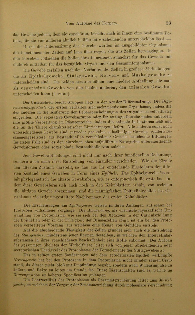 das Gewebe jedoch, dem sie zugehören, bestellt auch in ihnen eine bestimmte Po- tenz, die sie von anderen ähnlich indifferent erscheinenden unterscheiden lasst. Durch die Differenzirung der Gewebe werden im ausgebildeten Organismus die Functionen der Zellen auf jene übertragen, die aus Zellen hervorgingen. In den Geweben vollziehen die Zellen ihre Functionen zunächst für das Gewebe und dadurch mittelbar für das bezügliche Organ und den Gesammtörganismus. Die Gewebe zerfallen nach dem Verhalten der Zellen in größere Abtheilungen, die als Epithelgewebe, Stützgewebe, Nerven- und Muskelgewebe zu unterscheiden sind. Die beiden ersteren bilden eine niedere Abtheilung, die man als vegetative Gewebe von den beiden anderen, den animalen Geweben unterscheiden kann (Leydig). Der Unterschied beider Gruppen liegt in der Art der Differenzirung. Die Diffe- rmxinmgsproducte der ersten verhalten sich mehr passiv zum Organismus, indess die der anderen in die Äußerung der Lebenserscheinungen des Organismus selbstthätig eingreifen. Die vegetative Gewebsgruppe oder ihr analoge Gewebe finden außerdem ihre größte Verbreitung im Pflanzenreiche, indess die animale in letzterem fehlt und die für die Thiere charakteristischen Einrichtungen liefert. Alle anderen sonst noch unterschiedenen Gewebe sind entweder gar keine selbständigen Gewebe, sondern zu- sammengesetztere, aus Bestandtheilen verschiedener Gewebe bestehende Bildungen. Im ersten Falle sind es den einzelnen oben aufgefiihrten Kategorien unterzuordnende Gewebsformen oder sogar bloße Bestandtheile von solchen. Jene Gewebsabtkeilungen sind nicht nur nach ihrer functionellen Bedeutung, sondern auch nach ihrer Entstehung von einander verschieden. Wie die Eizelle den ältesten Zustand darstellt, so das aus ihr entstehende Blastoderm den älte- sten Zustand eines Gewebes in Form eines Epithels. Das Epithelgewebe ist so- mit phylogenetisch die älteste Gewebsform, wie es ontogenetisch die erste ist. In- dem diese Gewebsform sich auch noch in den Keimblättern erhält, von welchen die übrigen Gewebe abstammen, sind die mannigfachen Epithelialgebilde des Or- ganismus vielartig umgestaltete Nachkommen der ersten Keimblätter. Die Erscheinungen am Epithelgewebe weisen in ihren Anfängen auf schon bei Protozoen vorhandene Vorgänge. Die Abscheidung, als chemisch-physikalische Um- wandlung von Protoplasma, wie sie sich bei den Metazoen in der Cuticularbildung der Epithelien oder in der Thätigkeit der Drüsenzellen zeigt, ist ein bei den Proto- zoen verbreiteter Vorgang, aus welchem eine Menge von Gebilden entsteht. Auf die abscheidende Thätigkeit der Zellen gründet sich auch die Entstehung des Stiitxgewebes, mindestens jener Formen desselben, in welchen den Intercellular- substanzen in ihrer verschiedenen Beschaffenheit eine Rolle zukommt. Der Aufbau des gesummten Skeletes der Wirbelthiere leitet sich von jener abscheidenden oder secretorischen Thätigkeit des Protoplasma der Formelemente des Stützgewebes ab. Das in seinen ersten Sonderungen mit dem ectodermalen Epithel verknüpfte Nervengewebe hat bei den Protozoen in dem Protoplasma nicht minder seinen Urzu- stand, da dieser nicht bloß mit Empfindung begabt, sondern auch Willensimpulse zu äußern und Reize zu leiten im Stande ist. Diese Eigenschaften sind es, welche im Nervengewebe zu höherer Specification gelangen. Die Contractilität des Protoplasma als Gesammterscheinung leitet zum Muskcl- gewcbe, an welchem der Vorgang der Zusammenziehung durch moleculare Verschiebung