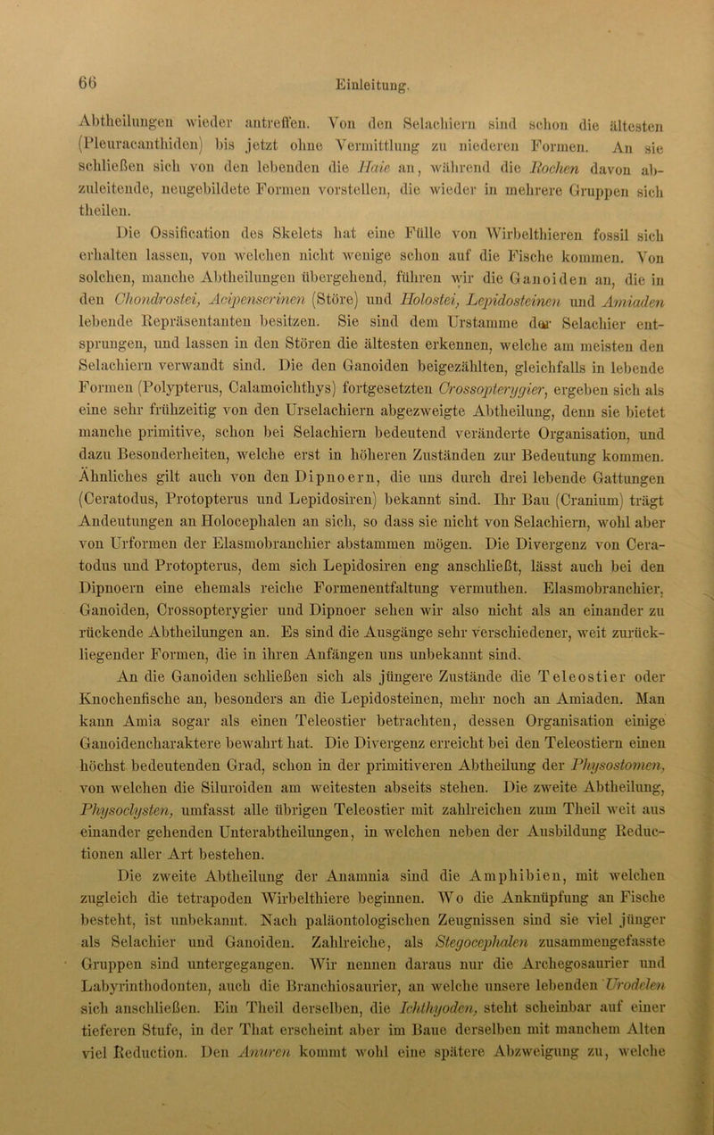 Abtheilungen wieder antreffen. Von den Selackiern sind schon die ältesten (Pleuracanthiden) bis jetzt ohne Vermittlung zu niederen Formen. An sie schließen sich von den lebenden die Haie an, während die Rochen davon ab- zuleitende, neugebildete Formen vorstellen, die wieder in mehrere Gruppen sieli theilen. Die Ossification des Skelets hat eine Fülle von Wirbelthieren fossil sich erhalten lassen, von welchen nicht wenige schon auf die Fische kommen. Von solchen, manche Abtheilungen übergehend, führen wir die Ganoiden an, die in den Cliondrostei, Adpenserinen (Störe) und Holostei, Lepidosteinen und Amiaden lebende Repräsentanten besitzen. Sie sind dem Urstamme den- Selachier ent- sprungen, und lassen in den Stören die ältesten erkennen, welche am meisten den Selachiern verwandt sind. Die den Ganoiden beigezählten, gleichfalls in lebende Formen (Polypterus, Calamoichthys) fortgesetzten Crossopterygier, ergeben sich als eine sehr frühzeitig von den Urselachiern abgezweigte Abtheilung, denn sie bietet manche primitive, schon bei Selachiern bedeutend veränderte Organisation, und dazu Besonderheiten, welche erst in höheren Zuständen zur Bedeutung kommen. Ähnliches gilt auch von denDipnoern, die uns durch drei lebende Gattungen (Ceratodus, Protopterus und Lepidosiren) bekannt sind. Ihr Bau (Cranium) trägt Andeutungen an Holocephalen an sich, so dass sie nicht von Selachiern, wohl aber von Urformen der Elasmobranchier abstammen mögen. Die Divergenz von Cera- todus und Protopterus, dem sich Lepidosiren eng anschließt, lässt auch bei den Dipnoern eine ehemals reiche Formenentfaltung vermuthen. Elasmobranchier, Ganoiden, Crossopterygier und Dipnoer sehen wir also nicht als an einander zu rückende Abtheilungen an. Es sind die Ausgänge sehr verschiedener, weit zurück- liegender Formen, die in ihren Anfängen uns unbekannt sind. An die Ganoiden schließen sich als jüngere Zustände die Teleostier oder Knochenfische an, besonders an die Lepidosteinen, mehr noch an Amiaden. Man kann Amia sogar als einen Teleostier betrachten, dessen Organisation einige Ganoidencharaktere bewahrt hat. Die Divergenz erreicht bei den Teleostiern einen höchst bedeutenden Grad, schon in der primitiveren Abtheilung der Physostomen, von welchen die Siluroiden am weitesten abseits stehen. Die zweite Abtheilung, Physoclysten, umfasst alle übrigen Teleostier mit zahlreichen zum Theil weit aus einander gehenden Unterabtheilungen, in welchen neben der Ausbildung Reduc- tionen aller Art bestehen. Die zweite Abtheilung der Anamnia sind die Amphibien, mit welchen zugleich die tetrapoden Wirbelthiere beginnen. Wo die Anknüpfung an Fische besteht, ist unbekannt. Nach paläontologisclien Zeugnissen sind sie viel jünger als Selachier und Ganoiden. Zahlreiche, als Stegocephalen zusammengefasste Gruppen sind untergegangen. Wir nennen daraus nur die Archegosaurier und Labyrinthodonten, auch die Branchiosaurier, an welche unsere lebenden Urodelen sich anschließen. Ein Theil derselben, die Ichthyoden, steht scheinbar auf einer tieferen Stufe, in der That erscheint aber im Baue derselben mit manchem Alten viel Reduction. Den Anuren kommt wohl eine spätere Abzweigung zu, welche