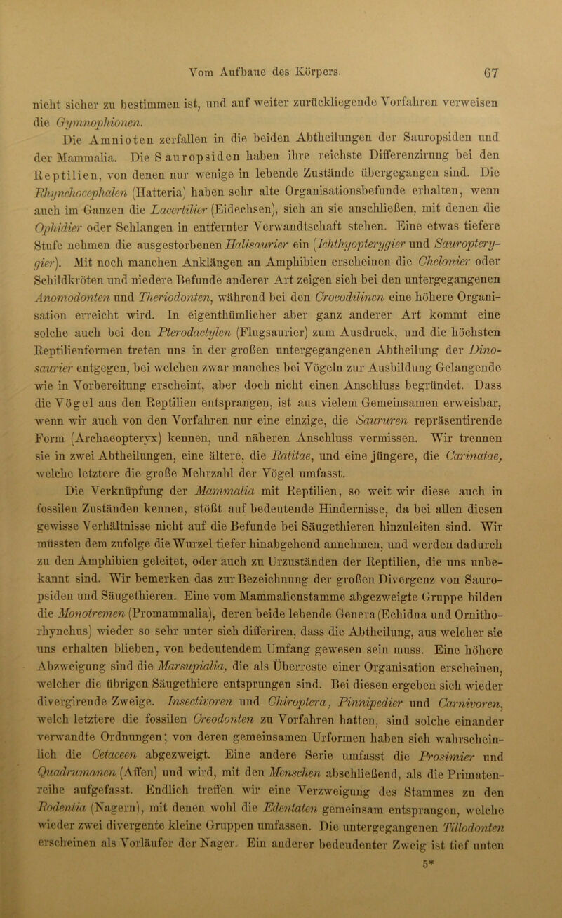 nicht sicher zu bestimmen ist, und auf weiter zurückliegende Vorfahren verweisen die Gymnophionen. Die Amnioten zerfallen in die beiden Abteilungen der Sauropsiden und der Mammalia. Die S auropsiden haben ihre reichste Differenzirung bei den Reptilien, von denen nur wenige in lebende Zustände übergegangen sind. Die Rhynchocepheilen (Hatteria) haben sehr alte Organisationsbefunde erhalten, wenn auch im Ganzen die Lacertilier (Eidechsen), sich an sie anschließen, mit denen die Ophidier oder Schlangen in entfernter Verwandtschaft stehen. Eine etwas tiefere Stufe nehmen die ausgestorbenen Halisaurier ein [Ichthyopterygier und Sauroptery- gier). Mit noch manchen Anklängen an Amphibien erscheinen die Chelonier oder Schildkröten und niedere Befunde anderer Art zeigen sich bei den untergegangenen Anomodonten und Theriodonten, während bei den Orocodilinen eine höhere Organi- sation erreicht wird. In eigentümlicher aber ganz anderer Art kommt eine solche auch bei den Pterodactylen (Flugsaurier) zum Ausdruck, und die höchsten Reptilienformen treten uns in der großen untergegangenen Abteilung der Dino- saurier entgegen, bei welchen zwar manches bei Vögeln zur Ausbildung Gelangende wie in Vorbereitng erscheint, aber doch nicht einen Anschluss begründet. Dass die Vögel aus den Reptilien entsprangen, ist aus vielem Gemeinsamen erweisbar, wenn wir auch von den Vorfahren nur eine einzige, die Saururen repräsentirende Form (Archaeopteiyx) kennen, und näheren Anschluss vermissen. Wir trennen sie in zwei Abteilungen, eine ältere, die Ratitae, und eine jüngere, die Carinatae, welche letztere die große Mehrzahl der Vögel umfasst. Die Verknüpfung der Mammalia mit Reptilien, so weit wir diese auch in fossilen Zuständen kennen, stößt auf bedeutende Hindernisse, da bei allen diesen gewisse Verhältnisse nicht auf die Befunde bei Säugetieren hinzuleiten sind. Wir müssten dem zufolge die Wurzel tiefer hinabgehend annehmen, und werden dadurch zu den Amphibien geleitet, oder auch zu Urzuständen der Reptilien, die uns unbe- kannt sind. Wir bemerken das zur Bezeichnung der großen Divergenz von Sauro- psiden und Säugetieren. Eine vom Mammalienstamme abgezweigte Gruppe bilden die Monotremen (Promammalia), deren beide lebende Genera (Echidna und Ornitho- rhynchus) wieder so sehr unter sich differiren, dass die Abtheilung, aus welcher sie uns erhalten blieben, von bedeutendem Umfang gewesen sein muss. Eine höhere Abzweigung sind die Marsupialia, die als Überreste einer Organisation erscheinen, welcher die übrigen Säugetiere entsprungen sind. Bei diesen ergeben sich wieder divergirende Zweige. Insedivoren und Chiroptera, Pinmpedier und Garnivoren, welch letztere die fossilen Greodonten zu Vorfahren hatten, sind solche einander verwandte Ordnungen; von deren gemeinsamen Urformen haben sich wahrschein- lich die Cetacem abgezweigt. Eine andere Serie umfasst die Prosimier und Quadrumanen (Affen) und wird, mit den Menschen abschließend, als die Primaten- reihe aufgefasst. Endlich treffen wir eine Verzweigung des Stammes zu den Rodentia (Nagern), mit denen wohl die Edmtaten gemeinsam entsprangen, welche wieder zwei divergente kleine Gruppen umfassen. Die untergegangenen Tillodontcn erscheinen als Vorläufer der Nager. Ein anderer bedeudenter Zweig ist tief unten 5*