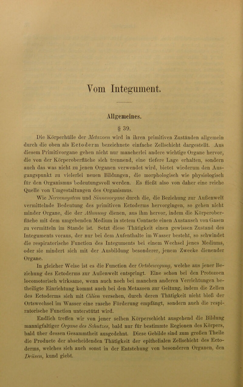 Vom Integument. Allgemeines. §39. Die Körperhülle der Metazoen wird in ihren primitiven Zuständen allgemein durch die oben als Eetodenn bezeiclmete einfache Zellschicht dargestellt. Aus diesem Primitivorgane gehen nicht nur mancherlei andere wichtige Organe hervor, die von der Körperoberfläche sich trennend, eine tiefere Lage erhalten, sondern auch das was nicht zu jenen Organen verwendet wird, bietet wiederum den Aus- gangspunkt zu vielerlei neuen Bildungen, die morphologisch wie physiologisch für den Organismus bedeutungsvoll werden. Es fließt also von daher eine reiche Quelle von Umgestaltungen des Organismus. Wie Nervensystem und Sinnesorgane durch die, die Beziehung zur Außenwelt vermittelnde Bedeutung des primitiven Ectoderms hervorgingen, so gehen nicht minder Organe, die der Athmung dienen, aus ihm hervor, indem die Körperober- fläche mit dem umgebenden Medium in stetem Contacte einen Austausch von Gasen zu vermitteln im Stande ist. Setzt diese Thätigkeit einen gewissen Zustand des Integuments voraus, der nur bei dem Aufenthalte im Wasser besteht, so schwindet die respiratorische Function des Integuments bei einem Wechsel jenes Mediums, oder sie mindert sich mit der Ausbildung besonderer, jenem Zwecke dienender Organe. In gleicher Weise ist es die Function der Ortsbewegung, welche aus jener Be- ziehung des Ectoderms zur Außenwelt entspringt. Eine schon bei den Protozoen locomotorisch wirksame, wenn auch noch bei manchen anderen Verrichtungen be- theiligte Einrichtung kommt auch bei den Metazoen zur Geltung, indem die Zellen des Ectoderms sich mit Oilien versehen, durch deren Thätigkeit nicht bloß der Ortswechsel im Wasser eine rasche Förderung empfängt, sondern auch die respi- ratorische Function unterstützt wird. Endlich treffen wir von jener selben Körperschicht ausgehend die Bildung mannigfaltiger Organe des Schutzes, bald nur für bestimmte Regionen des Körpers, bald über dessen Gesammtheit ausgedehnt. Diese Gebilde sind zum großen Theile die Producte der abscheidenden Thätigkeit der epithelialen Zellschicht des Ecto- derms, welches sich auch sonst in der Entstehung von besonderen Organen, den Drüsen, kund giebt.