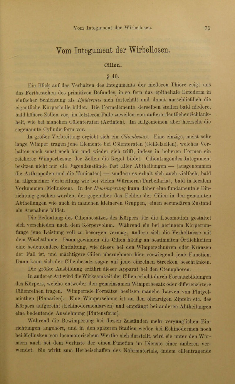 Vom Integument der Wirbellosen. Cilien. §40. Ein Blick auf das Verhalten des Integuments der niederen Thiere zeigt uns das Fortbestehen des primitiven Befundes, in so fern das epitheliale Ectoderm in einfacher Schichtung als Epidermis sich forterhält und damit ausschließlich die eigentliche Körperhülle bildet. Die Formelemente derselben stellen bald niedere, bald höhere Zellen vor, im letzteren Falle zuweilen von außerordentlicher Schlank- heit, wie bei manchen Cölenteraten (Actinien). Im Allgemeinen aber herrscht die sogenannte Cylinderform vor. In großer Verbreitung ergiebt sich ein Gilienbesatz. Eine einzige, meist sein- lange Wimper tragen jene Elemente bei Cölenteraten (Geißelzellen), welches Ver- halten auch sonst noch hin und wieder sich trifft, indess in höheren Formen ein reicherer Wimperbesatz der Zellen die Regel bildet. Cilientragendes Integument besitzen nicht nur die Jugendzustände fast aller Abtheilungen — (ausgenommen die Arthropoden und die Tunicaten) — sondern es erhält sich auch vielfach, bald in allgemeiner Verbreitung wie bei vielen Würmern (Turbellaria), bald in localem Vorkommen (Mollusken). In der Bewimperung kann daher eine fundamentale Ein- richtung gesehen werden, der gegenüber das Fehlen der Cilien in den genannten Abtheilungen wie auch in manchen kleineren Gruppen, einen secundären Zustand als Ausnahme bildet. Die Bedeutung des Cilienbesatzes des Körpers für die Locomotion gestaltet sich verschieden nach dem Körpervolum. Während sie bei geringem Körperum- fange jene Leistung voll zu besorgen vermag, ändern sich die Verhältnisse mit dem Wachsthume. Dann gewinnen die Cilien häufig an bestimmten Örtlichkeiten eine bedeutendere Entfaltung, wie dieses bei den Wimperschnüren oder Kränzen der Fall ist, und mächtigere Cilien übernehmen hier vorwiegend jene Function. Dann kann sich der Cilienbesatz sogar auf jene einzelnen Strecken beschränken. Die größte Ausbildung erfährt dieser Apparat bei den Ctenophoren. In anderer Art wird die Wirksamkeit der Cilien erhöht durch Fortsatzbildungen des Körpers, welche entweder den gemeinsamen Wimperbesatz oder differenzirtere Cilienreihen tragen. Wimpernde Fortsätze besitzen manche Larven von Platyel- minthen (Planarien). Eine Wimperschnur ist an den ohrartigen Zipfeln etc. des Körpers aufgereiht (Echinodermenlarven) und empfängt bei anderen Abtheilungen eine bedeutende Ausdehnung (Pluteusform). Während die Bewimperung bei diesen Zuständen mehr vergänglichen Ein- richtungen angehört, und in den späteren Stadien weder bei Echinodermen noch bei Mollusken von locomotorischem Werthe sich darstellt, wird sie unter den Wür- mern auch bei dem Verluste der einen Function im Dienste einer anderen ver- wendet. Sie wirkt zum Herbeischaffen des Nährmaterials, indem cilientragende
