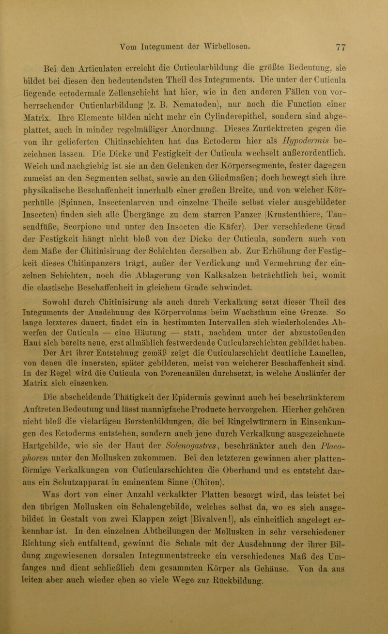 Bei den Articulaten erreicht die Cuticularbildung die größte Bedeutung, sie bildet bei diesen den bedeutendsten Theil des Integuments. Die unter der Cuticula liegende ectodermale Zellenschicht hat hier, wie in den anderen Fällen von vor- herrschender Cuticularbildung (z. B. Nematoden), nur noch die Function einer Matrix. Ihre Elemente bilden nicht mehr ein Cylinderepithel, sondern sind abge- plattet, auch in minder regelmäßiger Anordnung. Dieses Zurücktreten gegen die von ihr gelieferten Chitinschichten hat das Ectoderm hier als Hypodermis be- zeichnen lassen. Die Dicke und Festigkeit der Cuticula wechselt außerordentlich. Weich und nachgiebig ist sie an den Gelenken der Körpersegmente, fester dagegen zumeist an den Segmenten selbst, sowie an den Gliedmaßen; doch bewegt sich ihre physikalische Beschaffenheit innerhalb einer großen Breite, und von weicher Kör- perhülle (Spinnen, Insectenlarven und einzelne Theile selbst vieler ausgebildeter Insecten) finden sich alle Übergänge zu dem starren Panzer (Krustenthiere, Tau- sendfiiße, Scorpione und unter den Insecten die Käfer). Der verschiedene Grad der Festigkeit hängt nicht bloß von der Dicke der Cuticula, sondern auch von dem Maße der Chitinisirung der Schichten derselben ab. Zur Erhöhung der Festig- keit dieses Chitinpanzers trägt, außer der Verdickung und Vermehrung der ein- zelnen Schichten, noch die Ablagerung von Kalksalzen beträchtlich bei, womit die elastische Beschaffenheit in gleichem Grade schwindet. Sowohl durch Chitinisirung als auch durch Verkalkung setzt dieser Theil des Integuments der Ausdehnung des Körpervolums beim Wachsthum eine Grenze. So lange letzteres dauert, findet ein in bestimmten Intervallen sich wiederholendes Ab- werfen der Cuticula — eine Häutung — statt, nachdem unter der abzustoßenden Haut sich bereits neue, erst allmählich festwerdende Cuticularschichten gebildet haben. Der Art ihrer Entstehung gemäß zeigt die Cuticularschicht deutliche Lamellen, von denen die innersten, später gebildeten, meist von weicherer Beschaffenheit sind. In der Regel wird die Cuticula von Porencanälen durchsetzt, in welche Ausläufer der Matrix sich einsenken. Die abscheidende Thätigkeit der Epidermis gewinut auch bei beschränkterem Auftreten Bedeutung und lässt mannigfache Producte hervorgehen. Hierher gehören nicht bloß die vielartigen Borstenbildungen, die bei Ringelwürmern in Einsenkun- gen des Ectoderms entstehen, sondern auch jene durch Verkalkung ausgezeichnete Hartgebilde, wie sie der Haut der Solenogastres, beschränkter auch den Placo- phoren unter den Mollusken zukommen. Bei den letzteren gewinnen aber platten- förmige Verkalkungen von Cuticularschichten die Oberhand und es entsteht dar- aus ein Schutzapparat in eminentem Sinne (Chiton). Was dort von einer Anzahl verkalkter Platten besorgt wird, das leistet bei den übrigen Mollusken ein Schalengebilde, welches selbst da, wo es sich ausge- bildet in Gestalt von zwei Klappen zeigt (Bivalven!), als einheitlich angelegt er- kennbar ist. In den einzelnen Abtheilungen der Mollusken in sehr verschiedener Richtung sich entfaltend, gewinnt die Schale mit der Ausdehnung der ihrer Bil- dung zugewiesenen dorsalen Integumentstrecke ein verschiedenes Maß des Um- fanges und dient schließlich dem gesammten Körper als Gehäuse. Von da aus leiten aber auch wieder eben so viele Wege zur Rückbildung.