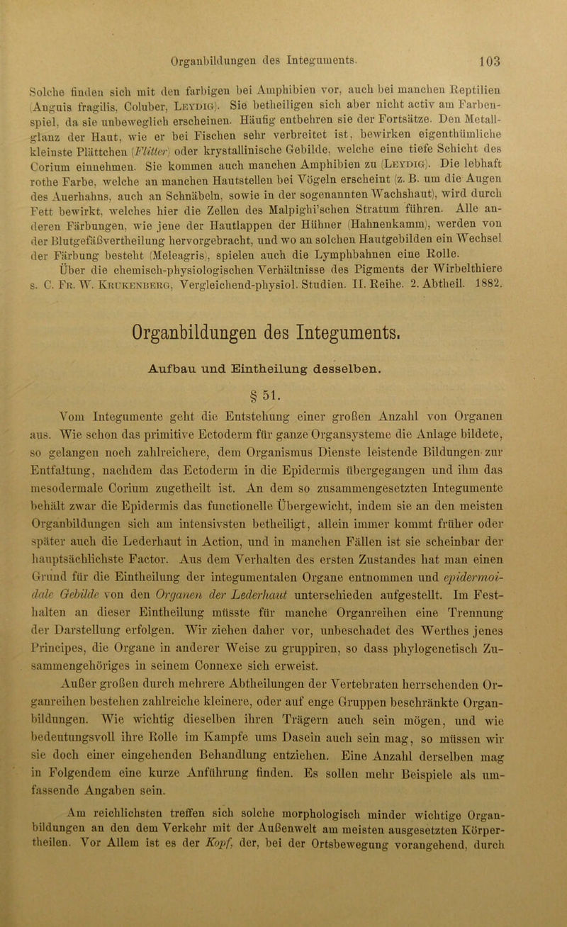 Solche linden sich mit den farbigen bei Amphibien vor, auch bei manchen Reptilien Anguis fragilis, Coluber, Leydig). Sie betheiligen sich aber nicht activ am Farben- spiel, da sie unbeweglich erscheinen. Häufig entbehren sie der Fortsätze. Den Metall- glanz der Haut, wie er bei Fischen sehr verbreitet ist, bewirken eigentümliche kleinste Plättchen [Flitter) oder krystallinische Gebilde, welche eine tiefe Schicht des Corium eiunehmen. Sie kommen auch manchen Amphibien zu (Leydig). Die lebhaft rothe Farbe, welche an manchen Hautstellen bei Vögeln erscheint (z. B. um die Augen des Auerhahns, auch an Schnäbeln, sowie in der sogenannten Wachshaut), wird durch Fett bewirkt, welches hier die Zellen des Malpighi’schen Stratum führen. Alle an- deren Färbungen, wie jene der Hautlappen der Hühner (Hahnenkamm), werden von der Blutgefäßvertheilung hervorgebracht, und wo an solchen Hautgebilden ein Wechsel der Färbung besteht (Meleagris), spielen auch die Lymplibahnen eine Rolle. Über die chemisch-physiologischen Verhältnisse des Pigments der Wirbeltiere s. C. Fr. W. Krukenberg, Vergleichend-pliysiol. Studien. II. Reihe. 2. Abtheil. 1882. Organbildungen des Integuments. Aufbau und Eintheilung desselben. § 51. Vom Integumente geht die Entstehung einer großen Anzahl von Organen aus. Wie schon das primitive Ectoderm für ganze Organsysteme die Anlage bildete, so gelangen noch zahlreichere, dem Organismus Dienste leistende Bildungen zur Entfaltung, nachdem das Ectoderm in die Epidermis übergegangen und ihm das mesodermale Corium zugetheilt ist. An dem so zusammengesetzten Integumente behält zwar die Epidermis das functionelle Übergewicht, indem sie an den meisten Organbildungen sich am intensivsten betheiligt, allein immer kommt früher oder später auch die Lederhaut in Action, und in manchen Fällen ist sie scheinbar der hauptsächlichste Factor. Aus dem Verhalten des ersten Zustandes hat man einen Grund für die Eintheilung der integumentalen Organe entnommen und epidermoi- dale Gebilde von den Organen der Lederhaut unterschieden aufgestellt. Im Fest- halten an dieser Eintheilung müsste für manche Organreihen eine Trennung der Darstellung erfolgen. Wir ziehen daher vor, unbeschadet des Werthes jenes Principes, die Organe in anderer Weise zu gruppiren, so dass phylogenetisch Zu- sammengehöriges in seinem Connexe sich erweist. Außer großen durch mehrere Abtheilungen der Vertebraten herrschenden Or- ganreihen bestehen zahlreiche kleinere, oder auf enge Gruppen beschränkte Organ- bildungen. Wie wichtig dieselben ihren Trägern auch sein mögen, und wie bedeutungsvoll ihre Rolle im Kampfe ums Dasein auch sein mag, so müssen wir sie doch einer eingehenden Behandlung entziehen. Eine Anzahl derselben mag in Folgendem eine kurze Anführung finden. Es sollen mehr Beispiele als um- fassende Angaben sein. Am reichlichsten treffen sich solche morphologisch minder wichtige Organ- bildungen an den dem Verkehr mit der Außenwelt am meisten ausgesetzten Körper- theilen. Vor Allem ist es der Kopf, der, bei der Ortsbewegung vorangehend, durch