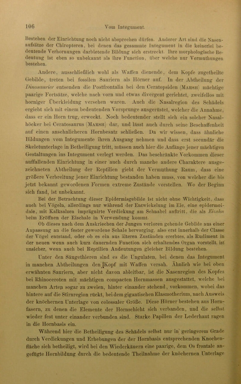Bestehen der Einrichtung noch nicht absprechen dürfen. Anderer Art sind die Nasen- aufsätze der Chiropteren, bei denen das gesummte Integument in die keinerlei be- deutende Verhornungen darbietende Bildung sich erstreckt. Ihre morphologische Be- deutung ist eben so unbekannt als ihre Function, über welche nur Vermuthungen bestehen. Andere, ausschließlich wold als Wallen dienende, dem Kopfe zugetheilte Gebilde, treten bei fossilen Sauriern als Hörner auf. ln der Abtheilung der Dinosaurier entsenden die Postfrontalia bei den Ceratopsiden (Marsh mächtige paarige Fortsätze, welche nach vorn und etwas divergent gerichtet, zweifellos mit horniger Überkleidung versehen waren. Auch die Nasalregion des Schädels ergiebt sich mit einem bedeutenden Vorsprunge ausgerüstet, welcher die Annahme, dass er ein Ilorn trug, erweckt. Noch bedeutender stellt sich ein solcher Nasal- höcker bei Ceratosaurus (Marsh) dar, und. lässt auch durch seine Beschaffenheit auf einen ansehnlicheren Hornbesatz schließen. Da wir wissen, dass ähnliche Bildungen vom Integumente ihren Ausgang nehmen und dass erst secundär die Skeletunterlage in Betheiligung tritt, müssen auch hier die Anfänge jener mächtigen Gestaltungen ins Integument verlegt werden. Das beschränkte Vorkommen dieser auffallenden Einrichtung in einer auch durch manche andere Charaktere ausge- zeichneten Abtheilung der Reptilien giebt der Vermuthung Raum, dass eine größere Verbreitung jener Einrichtung bestanden haben muss, von welcher die bis jetzt bekannt gewordenen Formen extreme Zustände vorstellen. Wo der Beginn sich fand, ist unbekannt. Bei der Betrachtung dieser Epidermisgebilde ist nicht ohne Wichtigkeit, dass auch bei Vögeln, allerdings nur während der Entwickelung im Eie. eine epidermoi- dale, mit Kalksalzen imprägnirte Verdickung am Schnabel auftritt. die als Eixalm beim Eröffnen der Eischale in Verwendung kommt. Ob dieses nach dem Auskriechen der Jungen verloren gehende Gebilde aus einer Anpassung an die fester gewordene Schale hervorging, also erst innerhalb der Classe der Vögel entstand, oder ob es ein aus älteren Zuständen ererbtes, als Rudiment in der neuen wenn auch kurz dauernden Function sich erhaltendes Organ vorstellt, ist unsicher, wenn auch bei Reptilien Andeutungen gleicher Bildung bestehen. Unter den Säugetkieren sind es die Ungulaten, bei denen das Integument in manchen Abtheilungen den [Kopf mit Waffen versah. Ähnlich wie bei oben erwähnten Sauriern, aber nicht davon ableitbar, ist die Nasenregion des Kopfes bei Rhinoceroten mit mächtigen compacten Hornmassen ausgestattet, welche bei manchen Arten sogar zu zweien, hinter einander stehend, Vorkommen, wobei das hintere auf die Stirnregion rückt, bei dem gigantischen Elasmotherium. nach Ausweis der knöchernen Unterlage von colossaler Größe. Diese Hörner bestehen aus Horn- fasern, zu denen die Elemente der Hornschicht sich verbanden, und die selbst wieder fest unter einander verbunden sind. Starke Papillen der Lederhaut ragen in die Ilornbasis ein. Während hier die Betheiligung des Schädels selbst nur in geringerem Grade durch Verdickungen und Erhebungen der der Hornbasis entsprechenden Knochen- fläche sich betheiligt, wird bei den Wiederkäuern eine paarige, dem Os frontale an- gefügte Hornbildung durch die bedeutende Theilnahme der knöchernen Unterlage