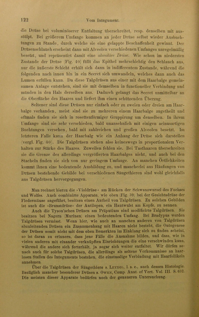 die Drüse bei voluminöserer Entfaltung überschreitet, resp. denselben mit aus- stülpt. Bei größerem Umfange kommen an jeder Drüse selbst wieder Ausbuch- tungen zu Stande, durch welche sie eine gelappte Beschaffenheit gewinnt. Der Drüsenschlauch erscheint dann mit Alveolen verschiedenen Umfanges unregelmäßig besetzt, und repräsentirt damit eine alveoläre- Drüse,. Wie schon im niedersten Zustande der Drüse (Fig. 40) füllt das Epithel mehrschichtig den Schlauch aus, nur die äußerste Schicht erhält sich dann in indifferentem Zustande, während die folgenden nach innen hin in ein Secret sich umwandeln, welches dann auch das Lumen erfüllen kann. Da diese Talgdrüsen aus einer mit dem Haarbalge gemein- samen Anlage entstehen, sind sie mit demselben in functioneller Verbindung und münden in den Hals derselben aus. Dadurch gelangt das Secret unmittelbar an die Oberfläche des Haares und liefert ihm einen schützenden Überzug. Seltener sind diese Drüsen nur einfach oder zu zweien oder dreien am Haar- balge vorhanden, meist sind sie zu mehreren einem Haarbalge zugetheilt und oftmals finden sie sich in rosettenförmiger Gruppirung um denselben. In ihrem Umfange sind sie sehr verschieden, bald unansehnlich mit einigen acinusartigen Buchtungen versehen, bald mit zahlreichen und großen Alveolen besetzt. Im letzteren Falle kann der Haarbalg wie ein Anhang der Drüse sich darstellen (vergl. Fig. 40). Die Talgdrüsen stehen also keineswegs in proportionalem Ver- halten zur Stärke des Haares. Zuweilen fehlen sie. Bei Tasthaaren überschreiten sie die Grenze des allerdings vergrößerten Haarbalges nicht, und auch bei den Stacheln finden sie sich von nur geringem Umfange. An manchen Örtlichkeiten kommt ihnen eine bedeutende Ausbildung zu, und mancherlei aus Häufungen von Drüsen bestehende Gebilde bei verschiedenen Säugethieren sind wohl gleichfalls aus Talgdrüsen hervorgegangen. ' Man rechnet hierzu die »Violdrüse« am Rücken der Schwanzwurzel des Fuchses und Wolfes. Auch combinirte Apparate, wie oben (Fig. 39) bei der Gesichtsdrüse der Fledermäuse angeführt, besitzen einen Antheil von Talgdrüsen. Zu solchen Gebilden ist auch die »Brunstdrüse« der Antilopen, ein Hautwulst am Kopfe, zu nennen. Auch die Tyson’schen Drüsen am Präputium sind modificirte Talgdrüsen. Sie besitzen bei Nagern (Murinen) einen bedeutenden Umfang. Bei Bradypus werden Talgdrüsen vermisst. Wenn hier, wie auch an manchen anderen von Talgdrüsen abzuleitenden Drüsen ein Zusammenhang mit Haaren nicht besteht, die Ontogenese der Drüsen somit nicht mit dem oben Bemerkten im Einklang sich zu finden scheint, so ist daran zu erinnern, dass jene Fälle die Ausnahme bilden, und dass, wie in vielen anderen mit einander verknüpften Einrichtungen die eine verschwinden kann, während die andere sich forterhält, ja sogar sich weiter entfaltet. Wir dürfen so- nach auch für solche Talgdrüsen, die allerdings als seltene Vorkommnisse an haar- losen Stellen des Integuments bestehen, die einstmalige Verbindung mit Haarlollikeln annehmen. Über die Talgdrüsen der Säugethiere s. Leydig, 1. s. c., auch dessen Histologie. Bezüglich mancher besonderer Drüsen s. Owen, Comp. Anat. of Vert. Vol. III. S. 6.32. Die meisten dieser Apparate bedürfen noch der genaueren Untersuchung.