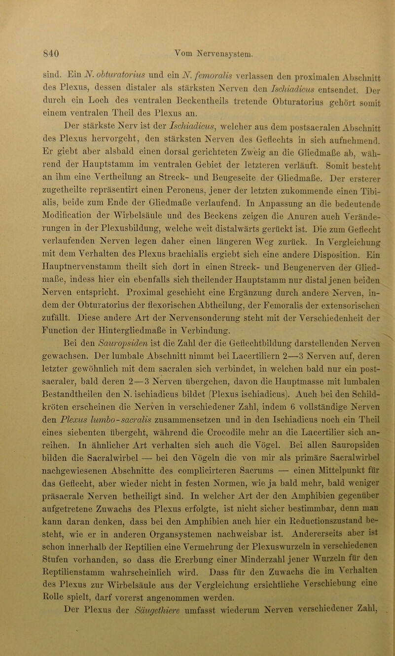sind. Ein N. obturatorius und ein N. femoralis verlassen den proximalen Abschnitt des 1 lexus, dessen distaler als stärksten Nerven den Ischiadicus entsendet. Der durch ein Loch des ventralen Beckentheils tretende Obturatorius gehört somit einem ventralen Tlieil des Plexus an. Der stärkste Nerv ist der Ischiadicus, welcher aus dem postsacralen Abschnitt des Plexus hervorgeht, den stärksten Nerven des Geflechts in sich aufnehmend. Er giebt aber alsbald einen dorsal gerichteten Zweig an die Gliedmaße ab, wäh- rend der Hauptstamm im ventralen Gebiet der letzteren verläuft. Somit bestellt an ihm eine Vertheilung an Streck- und Beugeseite der Gliedmaße. Der ersterer zugetheilte repräsentirt einen Peroneus, jener der letzten zukommende einen Tibi- alis, beide zum Ende der Gliedmaße verlaufend. In Anpassung an die bedeutende Modification der Wirbelsäule und des Beckens zeigen die Anuren auch Verände- rungen in der Plexusbildung, welche weit distalwärts gerückt ist. Die zum Geflecht verlaufenden Nerven legen daher einen längeren Weg zurück. In Vergleichung mit dem Verhalten des Plexus brachialis ergiebt sich eine andere Disposition. Ein Hauptnervenstamm theilt sich dort in einen Streck- und Beugenerven der Glied- maße, indess hier ein ebenfalls sich fliehender Hauptstamm nur distal jenen beiden Nerven entspricht. Proximal geschieht eine Ergänzung durch andere Nerven, in- dem der Obturatorius der flexorischen Abtheilung, der Femoralis der extensorischen zufällt. Diese andere Art der Nervensonderung steht mit der Verschiedenheit der Function der Hintergliedmaße in Verbindung. Bei den Sauropsid&n ist die Zahl der die Geflechtbildung darstellenden Nerven gewachsen. Der lumbale Abschnitt nimmt bei Lacertiliern 2—3 Nerven auf, deren letzter gewöhnlich mit dem sacralen sich verbindet, in welchen bald nur ein post- sacraler, bald deren 2 — 3 Nerven übergehen, davon die Hauptmasse mit lumbalen Bestandtheilen den N. ischiadicus bildet (Plexus ischiadicus). Auch bei den Schild- kröten erscheinen die Nerven in verschiedener Zahl, indem 6 vollständige Nerven den Plexus lumbo-sacralis zusammensetzen und in den Ischiadicus noch ein Theil eines siebenten übergeht, während die Crocodile mehr an die Lacertilier sich an- reihen. In ähnlicher Art verhalten sich auch die Vögel. Bei allen Sauropsiden bilden die Sacralwirbel — bei den Vögeln die von mir als primäre Sacralwirbel nachgewiesenen Abschnitte des eomplicirteren Sacrums — einen Mittelpunkt für das Geflecht, aber wieder nicht in festen Normen, wie ja bald mehr, bald weniger präsacrale Nerven betheiligt sind. In welcher Art der den Amphibien gegenüber aufgetretene Zuwachs des Plexus erfolgte, ist nicht sicher bestimmbar, denn man kann daran denken, dass bei den Amphibien auch hier ein Reductionszustand be- steht, wie er in anderen Organsystemen nachweisbar ist. Andererseits aber ist schon innerhalb der Reptilien eine Vermehrung der Plexuswurzeln in verschiedenen Stufen vorhanden, so dass die Ererbung einer Minderzahl jener Wurzeln für den Reptilienstamm wahrscheinlich wird. Dass für den Zuwachs die im A erhalten des Plexus zur Wirbelsäule aus der Vergleichung ersichtliche Verschiebung eine Rolle spielt, darf vorerst angenommen werden. Der Plexus der Säugethiere umfasst wiederum Nerven verschiedener Zahl,