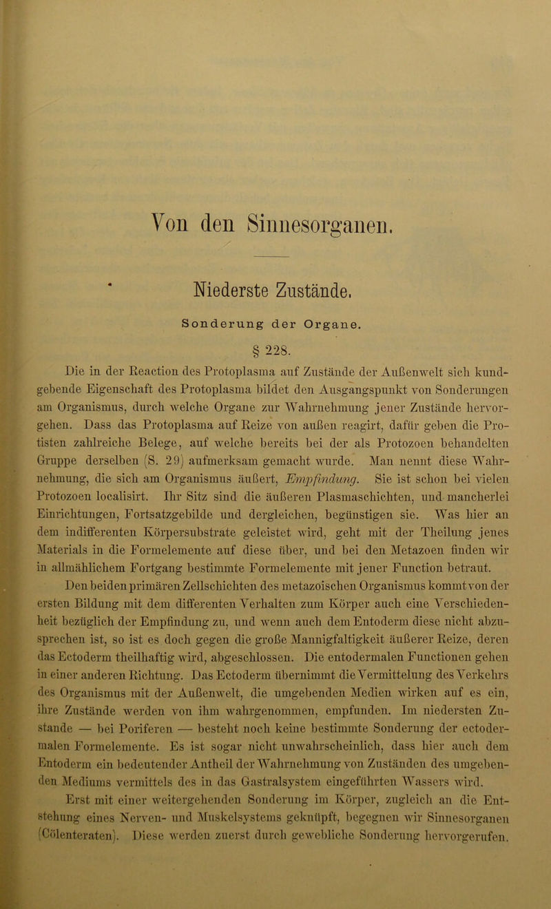 Von den Sinnesorganen. Niederste Zustände, Sonderung der Organe. § 228. Die in der Reaction des Protoplasma auf Zustände der Außenwelt sich kund- gebende Eigenschaft des Protoplasma bildet den Ausgangspunkt von Sonderungen am Organismus, durch welche Organe zur Wahrnehmung jener Zustände hervor- gehen. Dass das Protoplasma auf Reize von außen reagirt, dafür geben die Pro- tisten zahlreiche Belege, auf welche bereits bei der als Protozoen behandelten Gruppe derselben (S. 29) aufmerksam gemacht wurde. Man nennt diese Wahr- nehmung, die sich am Organismus äußert, Empfindung. Sie ist schon bei vielen Protozoen localisirt. Ihr Sitz sind die äußeren Plasmaschichten, und mancherlei Einrichtungen, Fortsatzgebilde und dergleichen, begünstigen sie. Was hier an dem indifferenten Körpersubstrate geleistet wird, geht mit der Theilung jenes Materials in die Formelemente auf diese über, und bei den Metazoen finden wir in allmählichem Fortgang bestimmte Formelemente mit jener Function betraut. Den beiden primären Zellschichten des metazoischen Organismus kommt von der ersten Bildung mit dem differenten Verhalten zum Körper auch eine Verschieden- heit bezüglich der Empfindung zu, und wenn auch dem Entoderm diese nicht abzu- sprechen ist, so ist es doch gegen die große Mannigfaltigkeit äußerer Reize, deren das Ectoderm tkeilkaftig wird, abgeschlossen. Die entodermalen Functionen gehen in einer anderen Richtung. Das Ectoderm übernimmt die Vermittelung des Verkehrs des Organismus mit der Außenwelt, die umgebenden Medien wirken auf es ein, ihre Zustände werden von ihm wahrgenommen, empfunden. Im niedersten Zu- stande — bei Poriferen — besteht noch keine bestimmte Sonderung der ectoder- malen Formelemente. Es ist sogar nicht unwahrscheinlich, dass hier auch dem Entoderm ein bedeutender Antheil der Wahrnehmung von Zuständen des umgeben- den Mediums vermittels des in das Gastralsystem eingeführten Wassers wird. Erst mit einer weitergehenden Sonderung im Körper, zugleich an die Ent- stehung eines Nerven- und Muskelsystems geknüpft, begegnen wir Sinnesorganen fCölenteraten). Diese werden zuerst durch gewebliche Sonderung hervorgerufen.