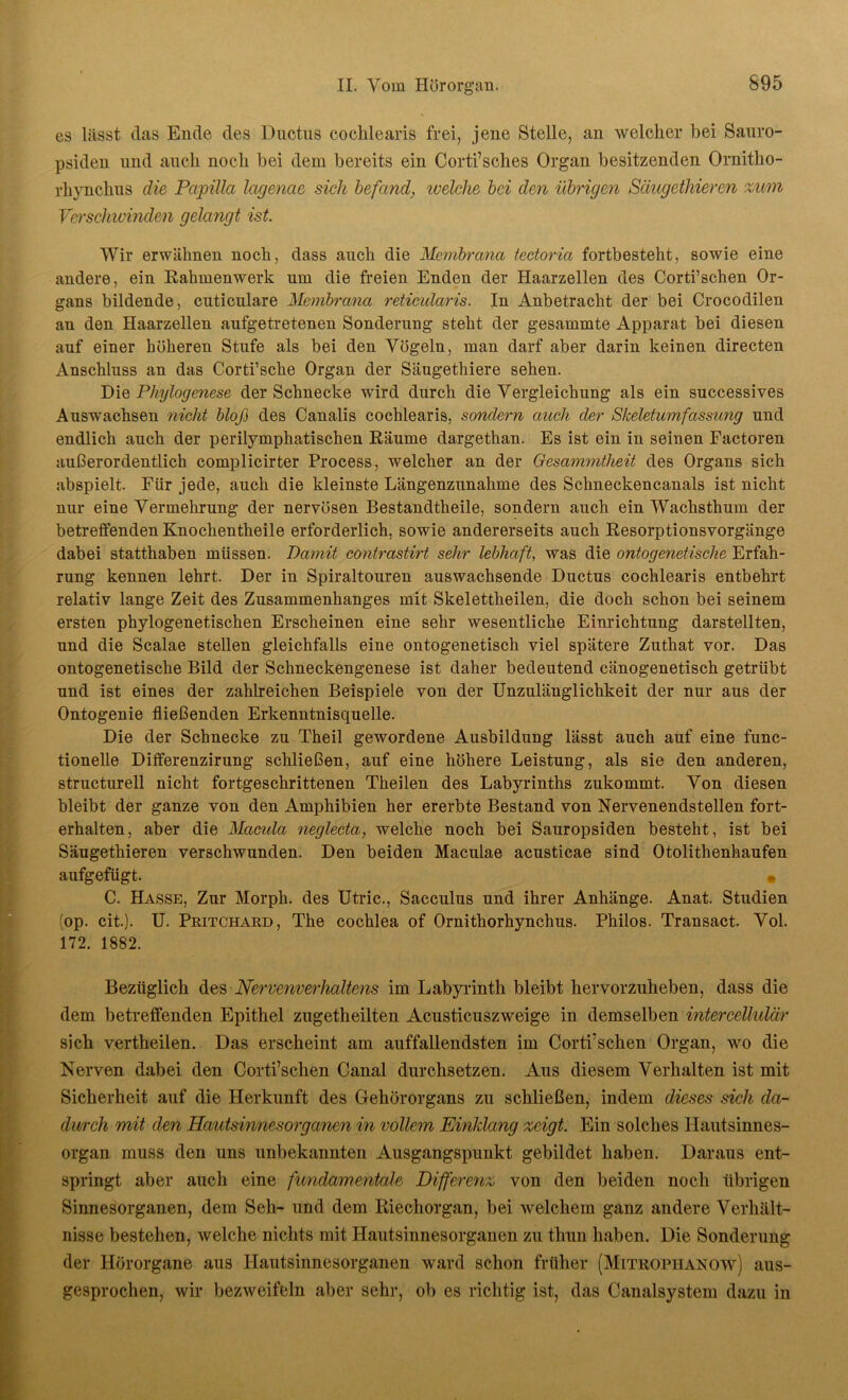 es lässt das Ende des Ductus cochlearis frei, jene Stelle, an welcher bei Sauro- psiden und auch noch bei dem bereits ein Corti’sches Organ besitzenden Ornitlio- rhynchus die Papilla lagenae sich befand, ivelche bei den Übrigen Säugethieren zum Verschwinden gelangt ist. Wir erwähnen noch, dass auch die Membrana tectoria fortbesteht, sowie eine andere, ein Rahmenwerk um die freien Enden der Haarzellen des Corti’schen Or- gans bildende, cuticulare Membrana reticularis. In Anbetracht der bei Crocodilen an den Haarzellen aufgetretenen Sonderung steht der gesammte Apparat bei diesen auf einer höheren Stufe als bei den Vögeln, man darf aber darin keinen directen Anschluss an das Corti’sche Organ der Säugethiere sehen. Die Phylogenese der Schnecke wird durch die Vergleichung als ein successives Auswachsen nicht bloß des Canalis cochlearis, sondern auch der Skeletumfassung und endlich auch der perilymphatischen Räume dargethan. Es ist ein in seinen Factoren außerordentlich complicirter Process, welcher an der Gesammtheit des Organs sich abspielt. Für jede, auch die kleinste Längenzunahme des Schneckencanals ist nicht nur eine Vermehrung der nervösen Bestandtheile, sondern auch ein Wachsthum der betreffenden Knochentheile erforderlich, sowie andererseits auch Resorptionsvorgänge dabei statthaben müssen. Damit contrastirt sehr lebhaft, was die ontogenetisclie Erfah- rung kennen lehrt. Der in Spiraltouren auswachsende Ductus cochlearis entbehrt relativ lange Zeit des Zusammenhanges mit Skelettheilen, die doch schon bei seinem ersten phylogenetischen Erscheinen eine sehr wesentliche Einrichtung darstellten, und die Scalae stellen gleichfalls eine ontogenetisch viel spätere Zuthat vor. Das ontogenetische Bild der Schneckengenese ist daher bedeutend cänogenetisch getrübt und ist eines der zahlreichen Beispiele von der Unzulänglichkeit der nur aus der Ontogenie fließenden Erkenntnisquelle. Die der Schnecke zu Theil gewordene Ausbildung lässt auch auf eine func- tionelle Differenzirung schließen, auf eine höhere Leistung, als sie den anderen, structurell nicht fortgeschrittenen Theilen des Labyrinths zukommt. Von diesen bleibt der ganze von den Amphibien her ererbte Bestand von Nervenendstellen fort- erhalten, aber die Macula neglecta, welche noch bei Sauropsiden besteht, ist bei Säugethieren verschwunden. Den beiden Maculae acusticae sind Otolithenhaufen aufgefügt. • C. Hasse, Zur Morph, des Utric., Sacculus und ihrer Anhänge. Anat. Studien (op. cit.). U. Pritchard, The cochlea of Ornithorhynchus. Philos. Transact. Vol. 172. 1882. Bezüglich des Nervenverhaltens im Labyrinth bleibt hervorzuheben, dass die dem betreffenden Epithel zugetheilten Acusticuszweige in demselben intercellulär sich vertheilen. Das erscheint am auffallendsten im Corti’schen Organ, wo die Nerven dabei den Corti’schen Canal durchsetzen. Aus diesem Verhalten ist mit Sicherheit auf die Herkunft des Gehörorgans zu schließen, indem dieses sich da- durch mit den Hautsinnesorganen in vollem Einklang zeigt. Ein solches Hautsinnes- organ muss den uns unbekannten Ausgangspunkt gebildet haben. Daraus ent- springt aber auch eine fundamentale Differenz, von den beiden noch übrigen Sinnesorganen, dem Seh- und dem Riechorgan, bei welchem ganz andere Verhält- nisse bestehen, welche nichts mit Hautsinnesorganen zu thun haben. Die Sonderung der Hörorgane aus Hautsinnesorganen ward schon früher (Mitrophanow) aus- gesprochen, wir bezweifeln aber sehr, ob es richtig ist, das Canalsystem dazu in