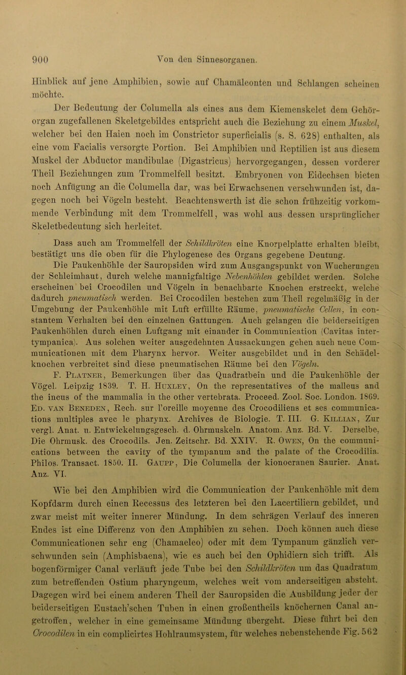 Hinblick auf jene Amphibien, sowie auf Ckamäleonten und Schlangen scheinen möchte. Der Bedeutung der Columella als eines aus dem Kiemenskelet dem Gehör- organ zugefallenen Skeletgebildes entspricht auch die Beziehung zu einem Muskel, welcher bei den Haien noch im Constrictor superficialis (s. S. 628) enthalten, als eine vom Facialis versorgte Portion. Bei Amphibien und Reptilien ist aus diesem Muskel der Abductor mandibulae (Digastricus) hervorgegangen, dessen vorderer Theil Beziehungen zum Trommelfell besitzt. Embryonen von Eidechsen bieten noch Anfügung an die Columella dar, was bei Erwachsenen verschwunden ist, da- gegen noch bei Vögeln besteht. Beachtenswerth ist die schon frühzeitig vorkom- mende Verbindung mit dem Trommelfell, was wohl aus dessen ursprünglicher Skeletbedeutung sich herleitet. Dass auch am Trommelfell der Schildkröten eine Knorpelplatte erhalten bleibt, bestätigt uns die oben für die Phylogenese des Organs gegebene Deutung. Die Paukenhöhle der Sauropsiden wird zum Ausgangspunkt von Wucherungen der Schleimhaut, durch welche mannigfaltige Nebenhöhlen gebildet werden. Solche erscheinen bei Crocodilen und Vögeln in benachbarte Knochen erstreckt, welche dadurch 'pneumatisch werden. Bei Crocodilen bestehen zum Theil regelmäßig in der Umgebung der Paukenhöhle mit Luft erfüllte Räume, pneumatische Cellen, in con- stantem Verhalten bei den einzelnen Gattungen. Auch gelangen die beiderseitigen Paukenhöhlen durch einen Luftgang mit einander in Communication (Cavitas inter- tympanica). Aus solchen weiter ausgedehnten Aussackungen gehen auch neue Com- municationen mit dem Pharynx hervor. Weiter ausgebildet und in den Schädel- knochen verbreitet sind diese pneumatischen Räume bei den Vögeln. F. Platner, Bemerkungen über das Quadratbein und die Paukenhöhle der Vögel. Leipzig 1839. T. H. Huxley, On the representatives of the malleus and the incus of the mammalia in the other vertebrata. Proceed. Zool. Soc. London. 1869. Ed. van Beneden, Rech, sur l’oreille moyenne des Crocodiliens et ses Communica- tions multiples avec le pharynx. Archives de Biologie. T. III. G. Killian, Zur vergl. Anat. u. Entwickelungsgesch. d. Ohrmuskeln. Anatom. Anz. Bd. V. Derselbe, Die Ohrmusk. des Crocodils. Jen. Zeitschr. Bd. XXIV. R. Owen, On the Communi- cations between the cavity of the tympanum and the palate of the Crocodilia. Philos. Transact. 1850. II. Gaupp, Die Columella der kionocranen Saurier. Anat. Anz. VI. Wie bei den Amphibien wird die Communication der Paukenhöhle mit dem Kopfdarm durch einen Recessus des letzteren bei den Lacertiliern gebildet, und zwar meist mit weiter innerer Mündung. In dem schrägen Verlauf des inneren Endes ist eine Differenz von den Amphibien zu sehen. Doch können auch diese Communicationen sehr eng (Chamaeleo) oder mit dem Tympanum gänzlich ver- schwunden sein (Amphisbaena), wie es auch bei den Ophidiern sich trifft. Als bogenförmiger Canal verläuft jede Tube bei den Schildkröten um das Quadratum zum betreffenden Ostium pharyngeum, welches weit vom anderseitigen absteht. Dagegen wird bei einem anderen Theil der Sauropsiden die Ausbildung jeder der beiderseitigen Eustach’schen Tuben in einen großentheils knöchernen Canal an- getroffen, welcher in eine gemeinsame Mündung übergeht. Diese führt bei den Crocodilen in ein complicirtes Hohlraumsystem, für welches nebenstehende big. 562