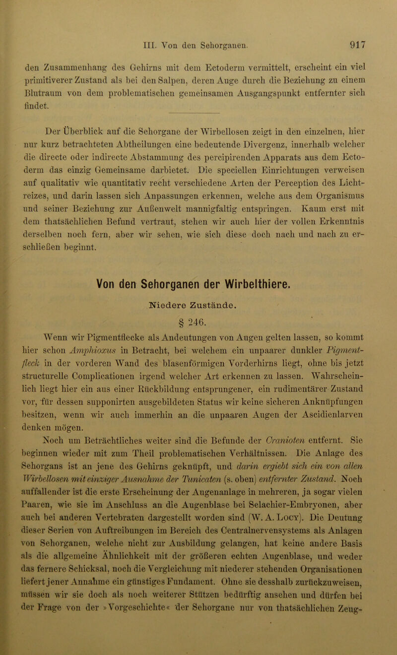 den Zusammenhang des Gehirns mit dem Ectoderm vermittelt, erscheint ein viel primitiverer Zustand als bei den Salpen, deren Auge durch die Beziehung zu einem Blutraum von dem problematischen gemeinsamen Ausgangspunkt entfernter sich findet. Der Überblick auf die Sehorgane der Wirbellosen zeigt in den einzelnen, hier nur kurz betrachteten Abtheilungen eine bedeutende Divergenz, innerhalb welcher die directe oder indirecte Abstammung des percipirenden Apparats aus dem Ecto- derm das einzig Gemeinsame darbietet. Die speciellen Einrichtungen verweisen auf qualitativ wie quantitativ recht verschiedene Arten der Perception des Licht- reizes, und darin lassen sich Anpassungen erkennen, welche aus dem Organismus und seiner Beziehung zur Außenwelt mannigfaltig entspringen. Kaum erst mit dem thatsächlichen Befund vertraut, stehen wir auch hier der vollen Erkenntnis derselben noch fern, aber wir sehen, wie sich diese doch nach und nach zu er- schließen beginnt. Von den Sehorganen der Wirbelthiere. Niedere Zustände. § 246. Wenn wir Pigmentflecke als Andeutungen von Augen gelten lassen, so kommt hier schon Amphioxus in Betracht, bei welchem ein unpaarer dunkler Pigment- fleck in der vorderen Wand des blasenförmigen Vorderhirns liegt, ohne bis jetzt structurelle Complicationen irgend welcher Art erkennen zu lassen. Wahrschein- lich liegt hier ein aus einer Rückbildung entsprungener, ein rudimentärer Zustand vor, für dessen supponirten ausgebildeten Status wir keine sicheren Anknüpfungen besitzen, wenn wir auch immerhin an die unpaaren Augen der Ascidienlarven denken mögen. Noch um Beträchtliches weiter sind die Befunde der Cranioten entfernt. Sie beginnen wieder mit zum Theil problematischen Verhältnissen. Die Anlage des Sehorgans ist an jene des Gehirns geknüpft, und darin ergiebt sich ein von allen Wirbellosen mit einziger Ausnahme der Tunicaten (s. oben) entfernter Zustand. Noch auffallender ist die erste Erscheinung der Augenanlage in mehreren, ja sogar vielen Paaren, wie sie im Anschluss an die Augenblase bei Selachier-Embryonen, aber auch bei anderen Vertebraten dargestellt worden sind (W. A. Locy). Die Deutung dieser Serien von Auftreibungen im Bereich des Centralnervensystems als Anlagen von Sehorganen, welche nicht zur Ausbildung gelangen, hat keine andere Basis als die allgemeine Ähnlichkeit mit der größeren echten Augenblase, und weder das fernere Schicksal, noch die Vergleichung mit niederer stehenden Organisationen liefert jener Annahme ein günstiges Fundament. Ohne sie desshalb zurückzuweisen, müssen wir sie doch als noch weiterer Stützen bedürftig ansehen und dürfen bei der Frage von der »Vorgeschichte« der Sehorgane nur von thatsächlichen Zeug-