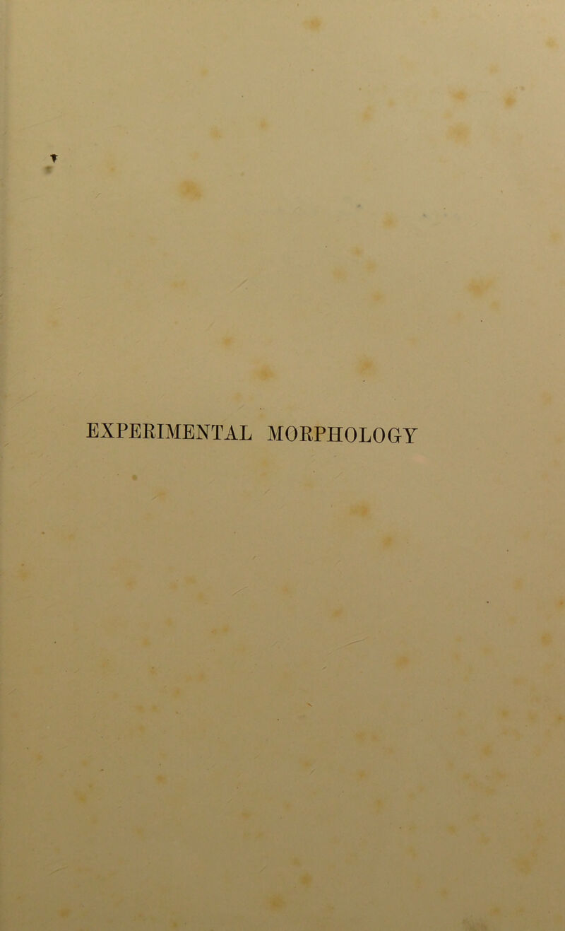 EXPERIMENTAL MORPHOLOGY