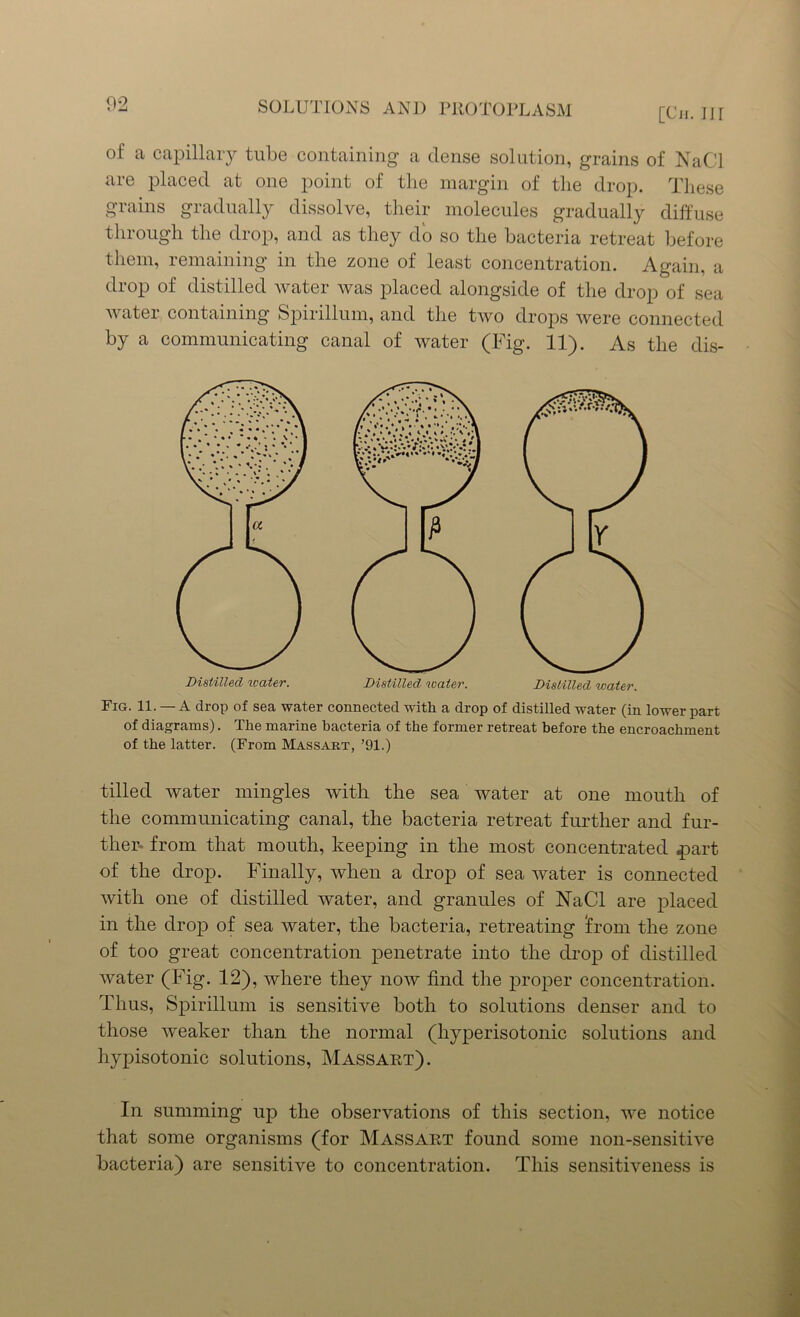 [Ch. Ill of a capillary tube containing a dense solution, grains of NaCl are placed at one point of the margin of the drop. These grains gradually dissolve, their molecules gradually diffuse through the drop, and as they do so the bacteria retreat before them, remaining in the zone of least concentration. Again, a drop of distilled water was placed alongside of the drop of sea water containing Spirillum, and the two drops were connected by a communicating canal of water (Fig. 11). As the dis- Fig. 11. — A drop of sea water connected with a drop of distilled water (in lower part of diagrams). The marine bacteria of the former retreat before the encroachment of the latter. (From Massart, ’91.) tilled water mingles with the sea water at one mouth of the communicating canal, the bacteria retreat further and fur- ther- from that mouth, keeping in the most concentrated .part of the drop. Finally, when a drop of sea water is connected with one of distilled water, and granules of NaCl are placed in the drop of sea water, the bacteria, retreating from the zone of too great concentration penetrate into the drop of distilled water (Fig. 12), where they now find the proper concentration. Thus, Spirillum is sensitive both to solutions denser and to those weaker than the normal (liyperisotonic solutions and hypisotonic solutions, Massart). In summing up the observations of this section, we notice that some organisms (for Massart found some non-sensitive bacteria) are sensitive to concentration. This sensitiveness is