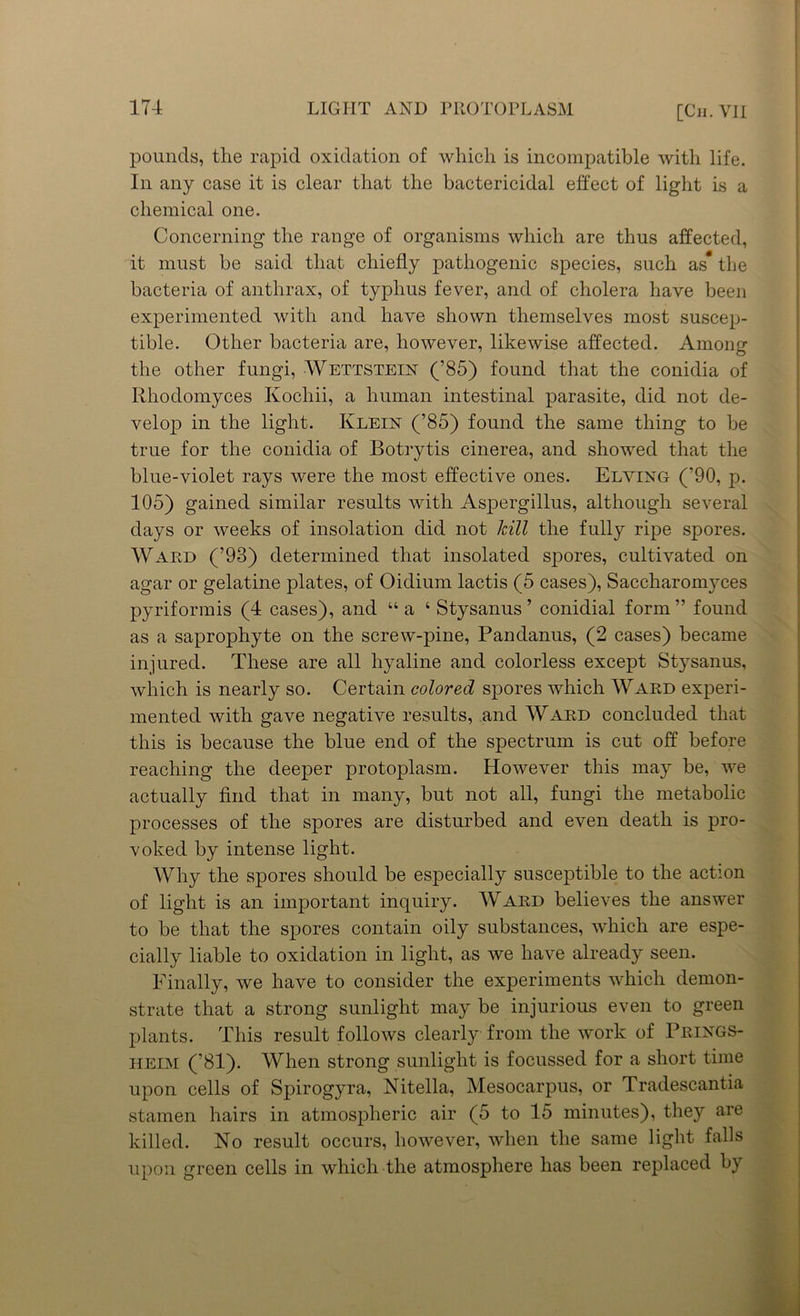 [Cii.VII pounds, the rapid oxidation of which is incompatible with life. In any case it is clear that the bactericidal effect of light is a chemical one. Concerning the range of organisms which are thus affected, it must be said that chiefly pathogenic species, such as* the bacteria of anthrax, of typhus fever, and of cholera have been experimented with and have shown themselves most suscep- tible. Other bacteria are, however, likewise affected. Among the other fungi, Wettstein (’85) found that the conidia of Rhodomyces Kochii, a human intestinal parasite, did not de- velop in the light. Klein (’85) found the same thing to be true for the conidia of Botrytis cinerea, and showed that the blue-violet rays were the most effective ones. Elving (’90, p. 105) gained similar results with Aspergillus, although several days or weeks of insolation did not kill the fully ripe spores. Ward (’93) determined that insolated sjiores, cultivated on agar or gelatine plates, of Oidium lactis (5 cases), Saccharomyces pyriform is (4 cases), and 44 a 4 Stysanus ’ conidial form ” found as a saprophyte on the screw-pine, Pandanus, (2 cases) became injured. These are all hyaline and colorless except Stysanus, which is nearly so. Certain colored spores which Ward experi- mented with gave negative results, and Ward concluded that this is because the blue end of the spectrum is cut off before reaching the deeper protoplasm. However this may be, we actually find that in many, but not all, fungi the metabolic processes of the spores are disturbed and even death is pro- voked by intense light. Why the spores should be especially susceptible to the action of light is an important inquiry. Ward believes the answer to be that the spores contain oily substances, which are espe- cially liable to oxidation in light, as we have already seen. Finally, we have to consider the experiments which demon- strate that a strong sunlight may be injurious even to green plants. This result follows clearly from the work of Prings- heim (’84). When strong sunlight is focussed for a short time upon cells of Spirogyra, Nitella, Mesocarpus, or Tradescantia stamen hairs in atmospheric air (5 to 15 minutes), they are killed. No result occurs, however, when the same light falls upon green cells in which the atmosphere has been replaced by