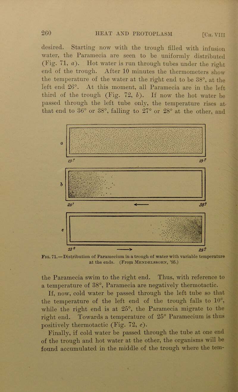 [Cn. vii r desired. Starting now with the trough idled with infusion water, the Paramecia are seen to be uniformly distributed (Fig. 71, a). Hot water is run through tubes under the right end of the trough. After 10 minutes the thermometers show the temperature of the water at the right end to be 38°, at the left end 26°. At this moment, all Paramecia are in the left third of the trough (Fig. 72, b'). If now the hot water be passed through the left tube only, the temperature rises at- that end to 86° or 38°, falling to 27° or 28° at the other, and 10Q > 25? Fig. 71.—Distribution of Paramecium in a trough of water with variable temperature at the ends. (From Mendelssohn, ’95.) the Paramecia swim to the right end. Thus, with reference to a temperature of 38°, Paramecia are negatively thermotactic. If, now, cold water be passed through the left tube so that the temperature of the left end of the trough falls to 10°, while the right end is at 25°, the Paramecia migrate to the right end. Towards a temperature of 25° Paramecium is thus positively thermotactic (Fig. 72, c). Finally, if cold water be passed through the tube at one end of the trough and hot water at the other, the organisms will be found accumulated in the middle of the trough where the tern-