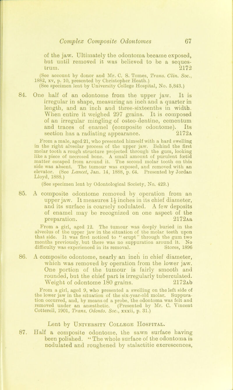 of the jaw. Ultimately the odontoma became exposed, but until removed it was believed to be a seques- trum. 2172 (See account by donor and Mr. C. S. Tomes, Trans. Clin. Soc., 1S82, xv, p. 10, presented by Christopher Heath.) (See specimen lent by University College Hospital, No. 5,843.) 84. One half of an odontome from the upper jaw. It is irregular in shape, measuring an inch and a quarter in length, and an inch and three-sixteenths in width. When entire it weighed 297 grains. It is composed of an irregular mingling of osteo-dentine, cementum and traces of enamel (composite odontome). Its section has a radiating appearance. 2172a From a male, aged 21, who presented himself with a hard swelling in the right alveolar process of the upper jaw. Behind the first molar tooth a rough structure projected through the gum, looking like a piece of necrosed bone. A small amount of purulent fcetid matter escaped from around it. The second molar tooth on this side was absent. The tumour was exposed, and removed with an elevator. (See Lancet, Jan. 14, 1888, p. 64. Presented by Jordan Lloyd, 1888.) (See specimen lent by Odontological Society, No. 429.) 85. A composite odontome removed by operation from an upper jaw. It measures 1^ inches in its chief diameter, and its surface is coarsely uodulated. A few deposits of enamel may be recognized on one aspect of the preparation. 2172Aa From a girl, aged 12. The tumour was deeply buried in the alveolus of the upper jaw in the situation of the molar teeth upon that side. It was first noticed to “ erupt” through the gum two months previously, but there was no suppuration around it. No difficulty was experienced in its removal. Stores, 1896 86. A composite odontome, nearly an inch in chief diameter, which was removed by operation from the lower jaw. One portion of the tumour is fairly smooth and rounded, but the chief part is irregularly tuberculated. Weight of odontome 180 grains. 2172Ab From a girl, aged 9, who presented a swelling on the left side of the lower jaw in the situation of the six-year-old molar. Suppura- tion occurred, and, by means of a probe, the odontoma was felt and removed under an anaesthetic. (Presented by Mr. 0. Vincent Cotterell, 1901, Trans. Odonto. Soc., xxxii, p. 31.) Lent by University College Hospital. 87. Half a composite odontome, the sawn surface having been polished. “ The whole surface of the odontoma is nodulated and roughened by stalactitic excrescences, J