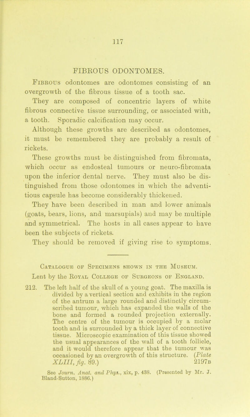 FIBROUS ODONTOMES. Fibrous odontomes are odontomes consisting of an overgrowth of the fibrous tissue of a tooth sac. They are composed of concentric layers of white fibrous connective tissue surrounding, or associated with, a tooth. Sporadic calcification may occur. Although these growths are described as odontomes, it must be remembered they are probably a result of rickets. These growths must be distinguished from fibromata, which occur as endosteal tumours or neuro-fibromata upon the inferior dental nerve. They must also be dis- tinguished from those odontomes in which the adventi- tious capsule has become considerably thickened. They have been described in man and lower animals (goats, bears, lions, and marsupials) and may be multiple and symmetrical. The hosts in all cases appear to have been the subjects of rickets. They should be removed if giving rise to symptoms. Catalogue op Specimens shown in the Museum. Lent by the Royal College op Surgeons op England. 212. The left half of the skull of a young goat. The maxilla is divided by a vertical section and exhibits in the region of the antrum a large rounded and distinctly circum- scribed tumour, which has expanded the walls of the bone and formed a rounded projection externally. The centre of the tumour is occupied by a molar tooth and is surrounded by a thick layer of connective tissue. Microscopic examination of this tissue showed the usual appearances of the wall of a tooth follicle, and it would therefore appear that the tumour was occasioned by an overgrowth of this structure. (Plate XLIII, fig. 89.) 2197b See Journ. Anat. and Phys., xix, p. 438. (Presented by Mr. J. Bland-Sutton, 1886.)