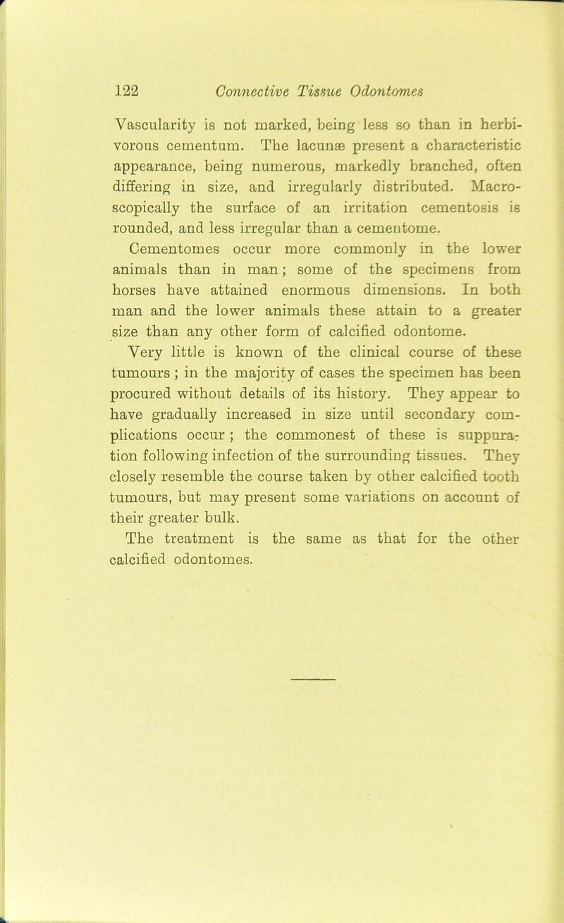 Vascularity is not marked, being less so than in herbi- vorous cementum. The lacunae present a characteristic appearance, being numerous, markedly branched, often differing in size, and irregularly distributed. Macro- scopically the surface of an irritation cementosis is rounded, and less irregular than a cementome. Cementomes occur more commonly in the lower animals than in man; some of the specimens from horses have attained enormous dimensions. In both man and the lower animals these attain to a greater size than any other form of calcified odontome. Very little is known of the clinical course of these tumours ; in the majority of cases the specimen has been procured without details of its history. They appear to have gradually increased in size until secondary com- plications occur ; the commonest of these is suppurar tion following infection of the surrounding tissues. They closely resemble the course taken by other calcified tooth tumours, but may present some variations on account of their greater bulk. The treatment is the same as that for the other calcified odontomes.