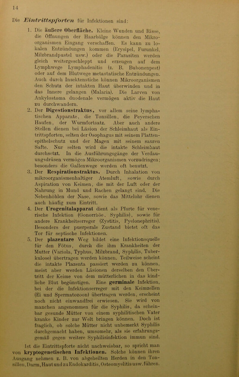 Die Eintrittspforten für Infektionen sind: 1. Die äußere Oberfläche. Kleine Wunden und Risse, die Öffnungen der Haarbälge können den Mikro- organismen Eingang verschaffen. Es kann zu lo- kalen Entzündungen kommen (Erysipel, Furunkel, Milzbrandpustel usw.) oder die Parasiten werden gleich weitergeschleppt und erzeugen auf dem Lymphwege Lymphadenitis (z. B. Bubonenpest) oder auf dem Blutwege metastatische Entzündungen. Auch durch Insektenstiche können Mikroorganismen den Schutz der intakten Haut überwinden und in das Innere gelangen (Malaria). Die Larven von Ankylostoma duodenale vermögen aktiv die Haut zu durchwandern. 2. Der Digestioiistraktus, vor allem seine lympha- tischen Apparate, die Tonsillen, die Peyerschen Haufen, der Wurmfortsatz. Aber auch andere Stellen dienen bei Läsion der Schleimhaut als Ein- trittspforten, selten der Ösophagus mit seinem Platten- epithelschutz und der Magen mit seinem sauren Safte. Nur selten wird die intakte Schleimhaut durchsetzt. In die Ausführungsgänge der Verdau- ungsdrüsen vermögen Mikroorganismen vorzudringen; besonders die Gallenwege werden oft benutzt. 3. Der Respirationstraktus. Durch Inhalation von mikroorganismenhaltiger Atemluft, sowie durch Aspiration von Keimen, die mit der Luft oder der Nahrung in Mund und Rachen gelangt sind. Die Nebenhöhlen der Nase, sowie das Mittelöhr dienen auch häufig zum Eintritt. 4. Der Urogenitalapparat dient als Pforte für vene- rische Infektion (Gonorrhöe, Syphilis), sowie für andere Krankheitserreger (Zystitis, Pyelonephritis). Besonders der puerperale Zustand bietet oft das Tor für septische Infektionen. 5. Der plazentare Weg bildet eine Infektionsquelle für den Fötus, durch die ihm Krankheiten der Mutter (Variola, Typhus, Milzbrand, Syphilis, Tuber- kulose) übertragen werden können. Teilweise scheint die intakte Plazenta passiert werden zu können, meist aber werden Läsionen derselben den Über- tritt der Keime von dem mütterlichen in das kind- liche Blut begünstigen. Eine germinale Infektion, bei der die Infektionserreger mit den Keimzellen (Ei und Spermatozoon) übertragen werden, erscheint noch nicht einwandfrei erwiesen. Sie wird von manchen angenommen für die Syphilis, da schein- bar gesunde Mütter von einem syphilitischen Vater kranke Kinder zur Welt bringen können. Doch ist fraglich, ob solche Mütter nicht unbemerkt Syphilis durchgemacht haben, umsomehr, als sie erfahrungs- gemäß gegen weitere Syphilisinfektion immun sind. Ist die Eintrittspforte nicht nachweisbar, so spricht man von kryptogenetischen Infektionen. Solche können ihren Ausgang nehmen z. B. von abgeheilten Herden in den Ton- sillen, Darm, Haut und zu Endokarditis, Osteomyelitis usw. führen.