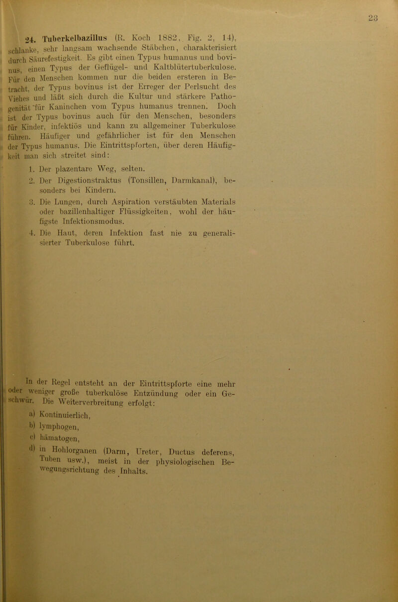 24. Tuberkelbazillus (11. Koch 1882, Fig. 2, 14), schlanke, sehr langsam wachsende Stäbchen, charakterisiert durch Säurefestigkeit. Es gibt einen Typus humanus und bovi- nus einen Typus der Geflügel- und Kaltblütertuberkulose. Für den Menschen kommen nur die beiden ersteren in Be- tracht. der Typus bovinus ist der Erreger der Perlsucht des Viehes und läßt sich durch die Kultur und stärkere Patho- genität‘für Kaninchen vom Typus humanus trennen. Doch ist der Typus bovinus auch für den Menschen, besonders für Kinder, infektiös und kann zu allgemeiner Tuberkulose führen. Häufiger und gefährlicher ist für den Menschen der Typus humanus. Die Eintrittspforten, über deren Häufig- keit man sich streitet sind: 1. Der plazentare Weg, selten. 2. Der Digestionstraktus (Tonsillen, Darmkanal), be- sonders bei Kindern. 3. Die Lungen, durch Aspiration verstäubten Materials oder bazillenhaltiger Flüssigkeiten, wohl der häu- figste Infektionsmodus. 4. Die Haut, deren Infektion fast nie zu generali- sierter Tuberkulose führt. In der Regel entsteht an der Eintrittspforte eine mehr odei weniger große tuberkulöse Entzündung oder ein Ge- schwür. Die Weiterverbreitung erfolgt: a) Kontinuierlich, b) lymphogen, c) hämatogen, d) in Hohlorganen (Darm, Ureter, Ductus deferens, Diben usw.), meist in der physiologischen Be- wegungsrichtung des Inhalts.