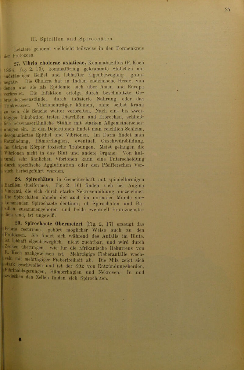 ♦ IIl. Spirillen und Spirochäten. Letztere gehören vielleicht teilweise in den Formen kreis der Protozoen. 27. Vibrio cholerae asiaticae, Kommabazillus (R. Koch 1884, Fig. 2. 15), kommaförmig gekrümmte Stäbchen mit endständiger Geißel und lebhafter Eigenbewegung, gram- negativ. Die Cholera hat in Indien endemische Herde, von denen ans sie als Epidemie sich über Asien und Europa verbreitet. Die Infektion erfolgt durch beschmutzte Ge- brauchsgegenstände, durch infizierte Nahrung oder das Trinkwasser. Vibrionenträger können, ohne selbst krank zu sein, die Seuche weiter verbreiten. Nach ein- bis zwei- tägiger Inkubation treten Diarrhöen und Erbrechen, schließ- lich reiswasserähnliche Stühle mit starken Allgemeinerschei- nungen ein. In den Dejektionen findet man reichlich Schleim, desquamiertes Epithel und Vibrionen. Im Darm findet man Entzündung, Hämorrhagien, eventuell Geschwürsbildung. Im übrigen Körper toxische Trübungen. Meist gelangen die Vibrionen nicht in das Blut und andere Organe. Von kul- turell sehr ähnlichen Vibrionen kann eine Unterscheidung durch spezifische Agglutination oder den Pfeifferschen Ver- such herbeigeführt werden. 28. Spirochäten in Gemeinschaft mit spindelförmigen Bazillen (fusiformes, Fig. 2, 16) finden sich bei Angina t incenti, die sich durch starke Nekrosenbildung auszeichnet. Die Spirochäten ähneln der auch im normalen Munde vor- kommenden Spirochaete dentium; ob Spirochäten und Ba- zillen zusammengehören und beide eventuell Protozoensta- dien sind, ist ungewiß. 29. Spirochaete Oberineieri (Fig. 2, 17) erzeugt das lebris recurrens, gehört möglicher Weise auch zu den Protozoen. Sie findet sich während des Anfalls im Blute, ist lebhaft eigenbeweglich, nicht züchtbar, und wird durch Zecken übertragen, wie für die afrikanische Rekurrens von ft. Koch nachgewiesen ist. Mehrtägige Fieberanfälle wech- seln mit mehrtägiger Fieberfreiheit ab. Die Milz zeigt sich stark geschwollen und ist der Sitz von Entzündungsherden, ibrinablagerungen, Hämorrhagien und Nekrosen. In und zwischen den Zellen finden sich Spirochäten.