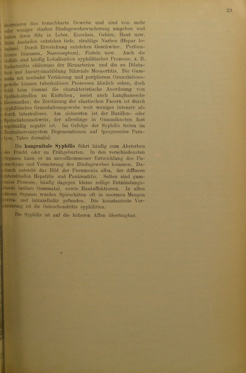destruieren das benachbarte Gewebe und sind von mehr oder weniger starker Bindegewebswucherung umgeben und haben ihren Sitz in Leber, Knochen, Gehirn, Haut usw. Beim Ausheilen entstehen tiefe, strahlige Narben (Hepar lo- batum). Durch Erweichung entstehen Geschwüre, Perfora- tionen (Gaumen, Nasenseptum), Fisteln usw. Auch die Gefäße sind häufig Lokalisation syphilitischer Prozesse, z. B. Endarteriitis obliterans der Hirnarterien und die zu Dilata- tion und Aneurysmabildung führende Mesaortitis. Die Gum- mata mit zentraler Verkäsung und peripherem Granulations- gewebe können tuberkulösen Prozessen ähnlich sehen, doch fehlt beim Gummi die charakteristische Anordnung von Epitheloidzellen zu Knötchen, meist auch Langhanssche Riesenzellen; die Zerstörung der elastischen Fasern ist durch syphilitisches Granulationsgewebe weit weniger intensiv als durch tuberkulöses. Am sichersten ist der Bazillen- oder Spirochätennachweis, der allerdings in Gummiknoten fast regelmäßig negativ ist. Im Gefolge der Syphilis treten im Zentralnervensystem Degenerationen auf (progressive Para- lyse, Tabes dorsalis). Die kongenitale Syphilis führt häufig zum Absterben dei' Frucht oder zu Frühgeburten. In den verschiedensten Organen kann es zu unvollkommener Entwicklung des Pa- renchyms und Vermehrung des Bindegewebes kommen. Da- durch entsteht das Bild der Pneumonia alba, der diffusen interstitiellen Hepatitis und Pankreatitis. Selten sind gum- möse Prozesse, häufig dagegen kleine zellige Entzündungs- herde (miliare Gummata), sowie Hautaffektionen. In allen diesen Organen wurden Spirochäten oft in enormen Mengen extra- und intrazellulär gefunden. Die konstanteste Ver- änderung ist die Osteochondritis syphilitica. Die Syphilis ist auf die höheren Affen übertragbar.