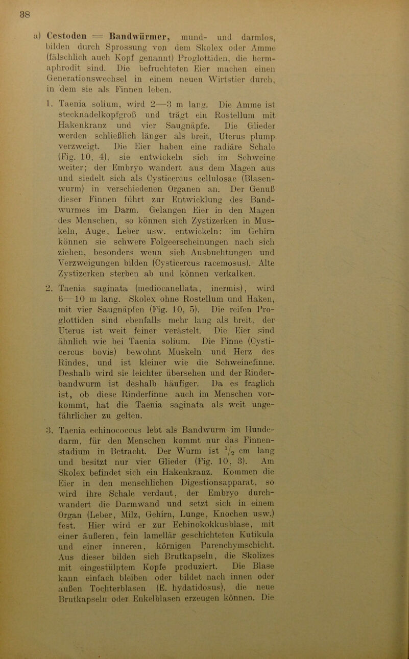 ;i) Cestoden — Bandwürmer, mund- und darmlos, bilden durch Sprossung von dem Skolex oder Amme (fälschlich auch Kopf genannt) Proglottiden, die lierm- aphrodit sind. Die befruchteten Eier machen einen Generationswechsel in einem neuen Wirtstier durch, in dem sie als Finnen leben. 1. Taenia solium, wird 2—3 m lang. Die Amme ist stecknadelkopfgroß und trägt ein Rosteilum mit Hakenkranz und vier Saugnäpfe. Die Glieder werden schließlich länger als breit, Uterus plump verzweigt. Die Eier haben eine radiäre Schale (Fig. 10, 4), sie entwickeln sich im Schweine weiter; der Embryo wandert aus dem Magen aus und siedelt sich als Cysticercus cellulosae (Blasen- wurm) in verschiedenen Organen an. Der Genuß dieser Finnen führt zur Entwicklung des Band- wurmes im Darm. Gelangen Eier in den Magen 'des Menschen, so können sich Zystizerken in Mus- keln, Auge, Leber usw. entwickeln: im Gehirn können sie schwere Folgeerscheinungen nach sich ziehen, besonders wenn sich Ausbuchtungen und Verzweigungen bilden (Cysticercus racemosus). Alte Zystizerken sterben ab und können verkalken. 2. Taenia saginata (mediocanellata, inermis), wird 0—10 m lang. Skolex ohne Rostellum und Haken, mit vier Saugnäpfen (Fig. 10, 5). Die reifen Pro- glottiden sind ebenfalls mehr lang als breit, der Uterus ist weit feiner verästelt. Die Eier sind ähnlich wie bei Taenia solium. Die Finne (Cysti- cercus bovis) bewohnt Muskeln und Herz des Rindes, und ist kleiner wie die Schweinefinne. Deshalb wird sie leichter übersehen und der Rinder- bandwurm ist deshalb häufiger. Da es fraglich ist, ob diese Rinderfinne auch im Menschen vor- kommt, hat die Taenia saginata als weit unge- fährlicher zu gelten. 3. Taenia echinococeus lebt als Bandwurm im Hunde- darm, für den Menschen kommt nur das Finnen- stadium in Betracht. Der Wurm ist 1/2 cm lang und besitzt nur vier Glieder (Fig. 10, 3). Am Skolex befindet sich ein Hakenkranz. Kommen die Eier in den menschlichen Digestionsapparat, so wird ihre Schale verdaut, der Embryo durch- wandert die Darmwand und setzt sich in einem Organ (Leber, Milz, Gehirn, Lunge, Knochen usw.) fest. Hier wird er zur Echinokokkusblase, mit einer äußeren, fein lamellär geschichteten Kutikula und einer inneren, körnigen Parenchymschicht. Aus dieser bilden sich Brutkapseln, die Skolizes mit eingestülptem Kopfe produziert. Die Blase kann einfach bleiben oder bildet nach innen oder außen Tochterblasen (E. hydatidosus), die neue Brutkapseln oder Enkelblasen erzeugen können. Die