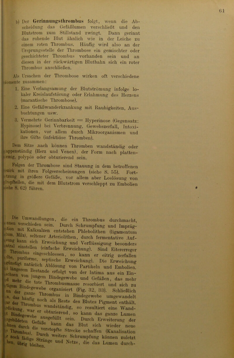 b) Der Germiiungsthrorabus folgt, wenn die Ab- scheidung das Gefäßlumen verschließt und den Blutstrom zum Stillstand zwingt. Dann gerinnt das ruhende Blut ähnlich wie in der Leiche zu einem roten Thrombus. Häufig wird also an der Ursprungsstelle der Thrombose ein gemischter oder geschichteter Thrombus vorhanden sein und an diesen in der rückwärtigen Blutbahn sich ein roter Thrombus anschließen. Als Ursachen der Thrombose wirken oft verschiedene lomente zusammen: 1. Eine Verlangsamung der Blutströmung infolge lo- kaler Kreislaufstörung oder Erlahmung des Herzens (marantische Thrombose). 2. Eine Gefäßwanderkrankung mit Rauhigkeiten, Aus- buchtungen usw. 3. Vermehrte Gerinnbarkeit == Hyperinose (Gegensatz: Hypinose) bei Verbrennung, Gewebszerfall, Intoxi- kationen , vor allem durch Mikroorganismen und ihre Gifte (infektiöse Thromben). Dem Sitze mach können Thromben wandständig oder 1 appenständig (Herz und Venen), der Form nach platten- rmig, polypös oder obturierend sein. Folgen der Thrombose sind Stauung in dem betroffenen szirk mit ihren Folgeerscheinungen (siehe S. 55). Fort- tzung in größere Gefäße, vor allem aber Loslösung von rupfteilen, die mit dem Blutstrom verschleppt zu Embolien :ehe S. 62) führen. Die Umwandlungen, die ein Thrombus durchmacht, nnen verschieden sein. Durch Schrumpfung und Impräg- s; ;on nut Ka]ksalzen entstehen Phlebolithen (ligamentum iz), seltener Arteriolithen, durch fermentative Auf- ntrm ™ “ch Enveicl^ng und Verflüssigung besonders eins e en (einfache Erweichung). Sind Eitererreger *lhp r°m -rS e*n8eschlossen, so kann er eitrig zerfallen £rünstirr+ln sePBscbe Erweichung). Die Erweichung i län/Prpnatprh?h Ablösiln§ von Partikeln und Embolien. • ichsen Bestande erfolgt von der Intima aus ein Ein- d mehr fu JU?eimr Blndegewebe und Gefäßen, das mehr tigern Km/ °t<1 1 brombasmasse resorbiert und sich zu nn der\rMnfW^e organis!ert (FiS- 32> 33). Schließlich n, das häufig lbromblls 111 Bindegewebe umgewandelt ar der ThrnrrU n°Ch als,Reste des Bllltes Pigment enthält. rdickung 'v’andständig, so resultiert eine Wand- t Bindecewphp61 obtu/.?erend» so kann das ganze Lumen gebildeten fVfsein- Durch Erweiterung der hnen durch Hi 1 & <ann das Blut sich wieder neue * Thrombus) nVe^ Strecke schaffen (Kanalisation r n°ch fädirn» <i:+UrC WeBere Schrumpfung können zuletzt llen, übrig bleiben1086 UnC* ^etze’ tbe das Damen durch - i