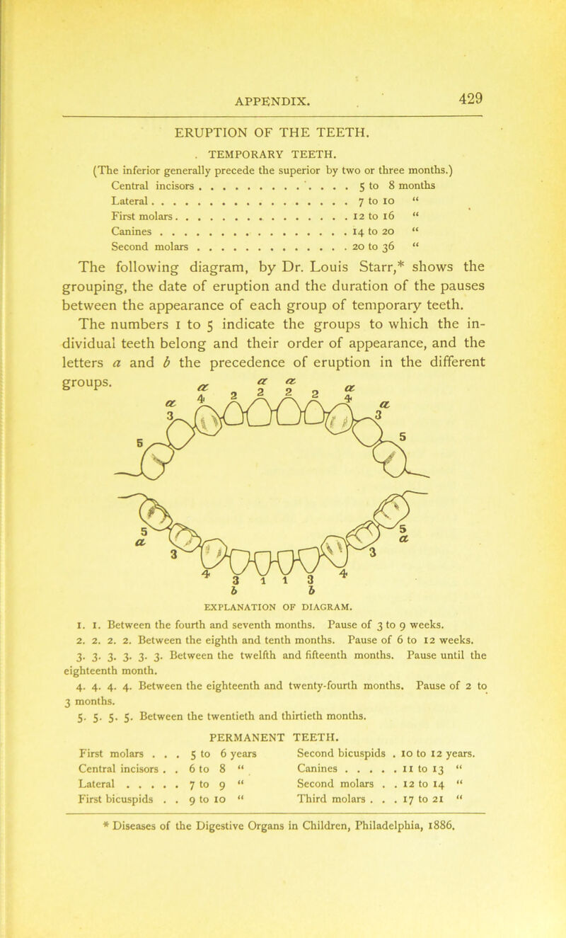 ERUPTION OF THE TEETH. . TEMPORARY TEETH. (The inferior generally precede the superior by two or three months.) Central incisors 5 to 8 months Lateral 7 to 10 “ First molars 12 to X 6 “ Canines 14 to 20 “ Second molars 20 to 36 “ The following diagram, by Dr. Louis Starr,* shows the grouping, the date of eruption and the duration of the pauses between the appearance of each group of temporary teeth. The numbers i to 5 indicate the groups to which the in- dividual teeth belong and their order of appearance, and the letters a and b the precedence of eruption in the different 1. 1. Between the fourth and seventh months. Pause of 3 to 9 weeks. 2. 2. 2. 2. Between the eighth and tenth months. Pause of 6 to 12 weeks. 3- 3- 3. 3- 3- 3- Between the twelfth and fifteenth months. Pause until the eighteenth month. 4. 4. 4. 4. Between the eighteenth and twenty-fourth months. Pause of 2 to 3 months. 5. 5. 5. 5. Between the twentieth and thirtieth months. PERMANENT TEETH. First molars ... 5 to 6 years Second bicuspids . 10 to 12 years. Central incisors . . 6 to 8 “ Canines x I to 13 “ Lateral 7 to 9 “ Second molars .. 12 to 14 “ First bicuspids . . 9 to 10 “ Third molars . . . 17 to 21 “ * Diseases of the Digestive Organs in Children, Philadelphia, 1886.