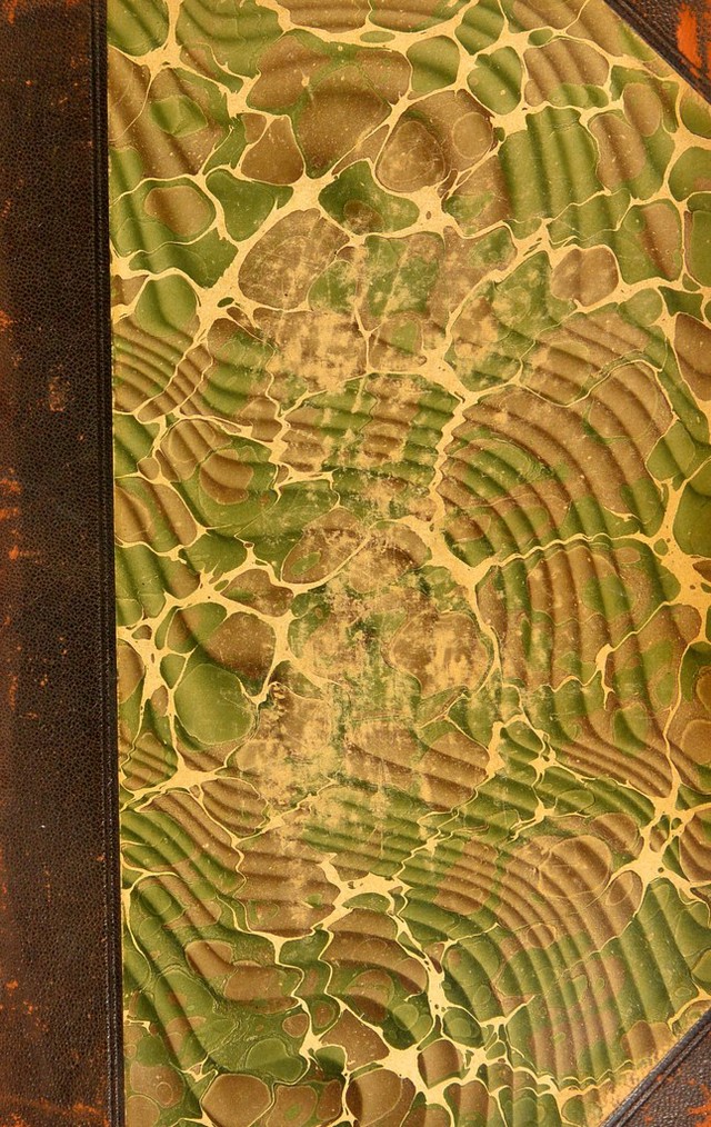 digitised image 1