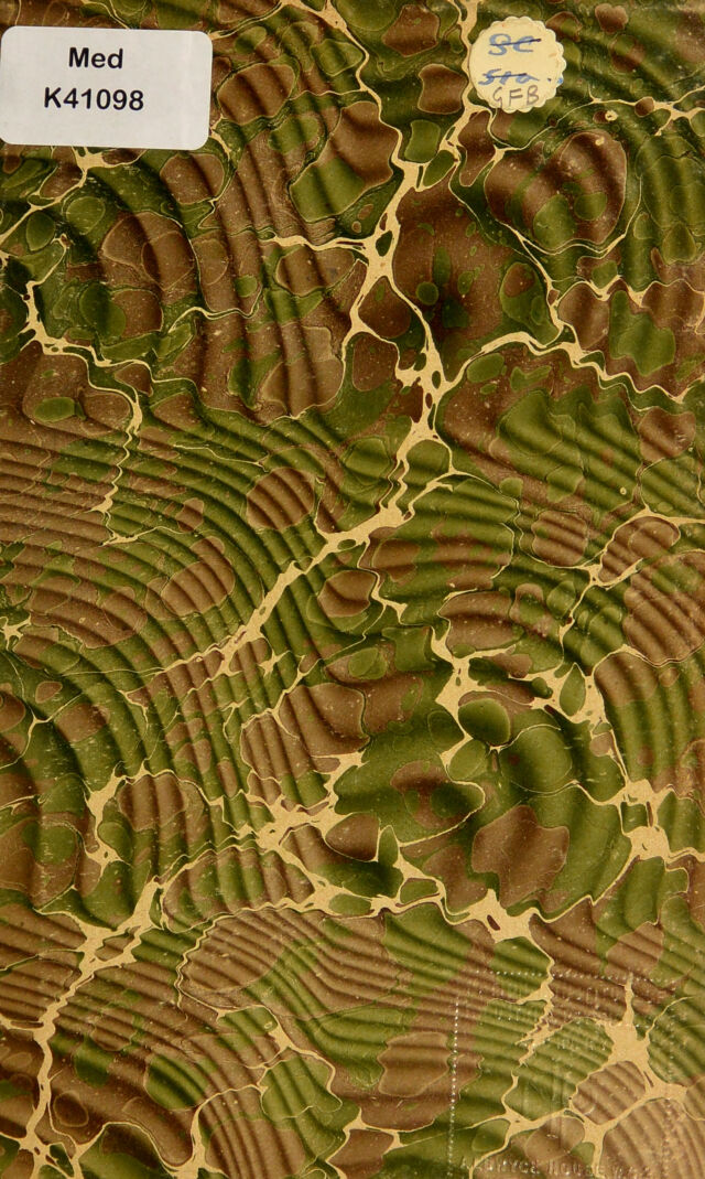 digitised image 3