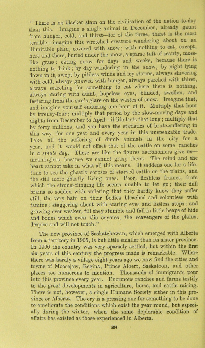 “ There is no blacker stain on the civilisation of the nation to-da\ than this. Imagine a single animal in December, already gaum from hunger, cold, and thirst—for of the three, thirst is the most terrible—imagine this wretched creature wandering about on an illimitable plain, covered with snow; with nothing to eat, except, here and there, buried under the snow, a sparse tuft of scanty, moss- like grass; eating snow for days and weeks, because there is nothing to drink; by day wandering in the snow, by night lying down in it, swept by pitiless winds and icy storms, always shivering with cold, always gnawed with hunger, always parched with thirst, always searching for something to eat where there is nothing, always staring with dumb, hopeless eyes, blinded, swollen, and festering from the sun’s glare on the wastes of snow. Imagine that, and imagine yourself enduring one hour of it. Multiply that hour by twenty-four; multiply that period by the slow-moving days and nights from December to April—if life lasts that long ; multiply that by forty millions, and you have the statistics of brute-suffering in this way, for one year and every year in thi3 unspeakable trade. Take all the suffering of dumb animals in the city for a year, and it would not offset that of the cattle on some ranches in a single day. These are like the figures astronomers give us— meaningless, because we cannot grasp them. The mind and the heart cannot take in what all this means. It saddens one for a life- time to see the ghastly corpses of starved cattle on the plains, and the still more ghastly living ones. Poor, fleshless frames, from which the strong-clinging life seems unable to let go; their dull brains so sodden with suffering that they hardly know they suffer still, the very hair on their bodies bleached and colourless with famine; staggering about with staring eyes and listless steps; and growing ever weaker, till they stumble and fall in little heaps of hide and bones which even tHe coyotes, the scavengers of the plains, despise and will not touch.” The new province of Saskatchewan, which emerged with Alberta from a territory in 1905, is but little smaller than its sister province. In 1900 the country was very sparsely settled, but within the first six years of this century the progress made iB remarkable. Where there was hardly a village eight years ago we now find the cities and towns of Moosejaw, Regina, Prince Albert, Saskatoon, and other places too numerous to mention. Thousands of immigrants pour into this province every year. Enormous ranches and farms testify to the great developments in agriculture, horse, and cattle raising. There is not, however, a single Humane Society either in this pro- vince or Alberta. The cry is a pressing one for something to be done to ameliorate the conditions which exist the year round, but especi- ally during the winter, when the some deplorable condition of affairs has existed as those experienced in Alberta.