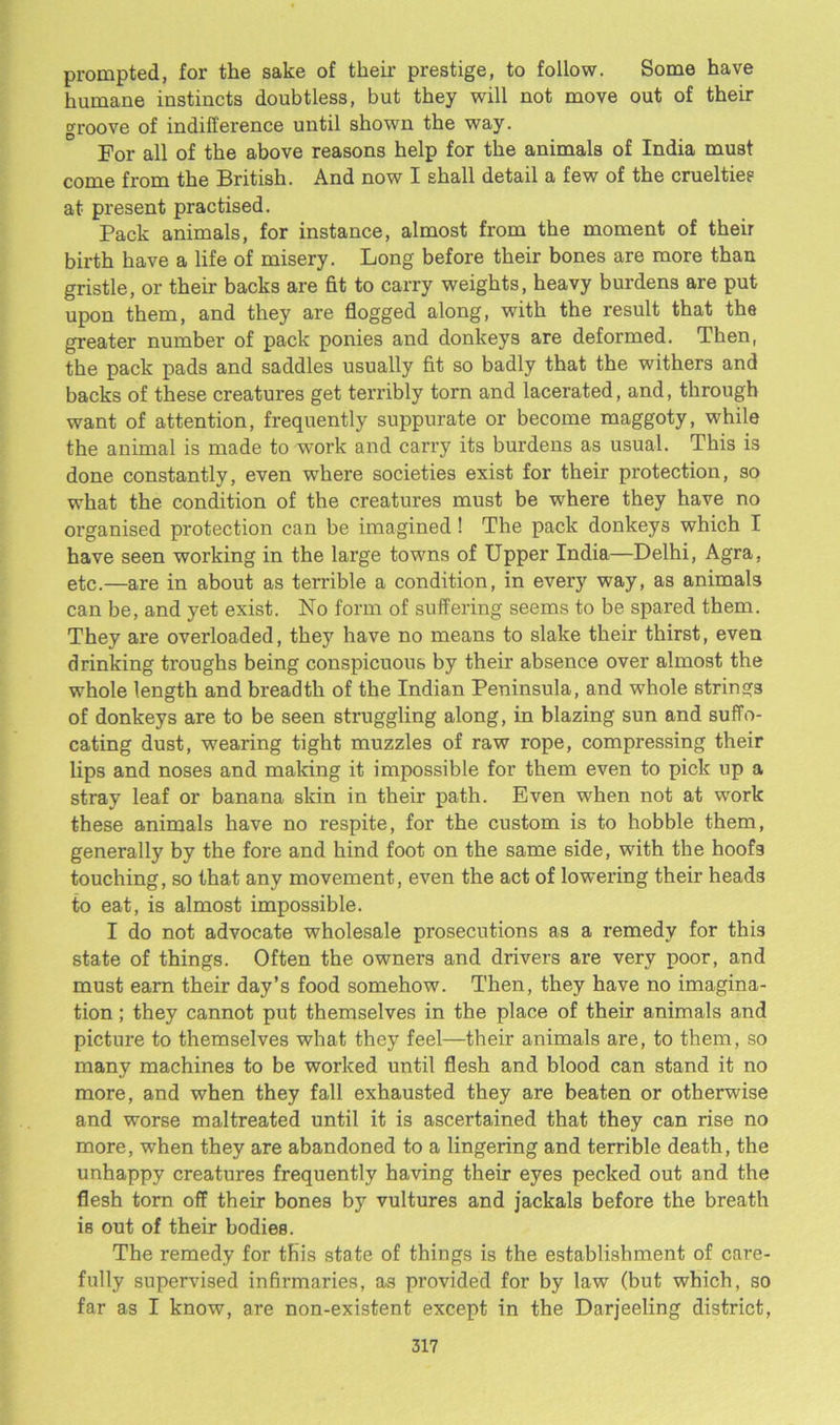 prompted, for the sake of their prestige, to follow. Some have humane instincts doubtless, but they will not move out of their groove of indifference until shown the way. For all of the above reasons help for the animals of India must come from the British. And now I shall detail a few of the cruelties at present practised. Pack animals, for instance, almost from the moment of their birth have a life of misery. Long before their bones are more than gristle, or their backs are fit to carry weights, heavy burdens are put upon them, and they are flogged along, with the result that the greater number of pack ponies and donkeys are deformed. Then, the pack pads and saddles usually fit so badly that the withers and backs of these creatures get terribly torn and lacerated, and, through want of attention, frequently suppurate or become maggoty, while the animal is made to work and carry its burdens as usual. This is done constantly, even where societies exist for their protection, so what the condition of the creatures must be where they have no organised protection can be imagined! The pack donkeys which I have seen working in the large towns of Upper India—Delhi, Agra, etc.—are in about as terrible a condition, in every way, as animals can be, and yet exist. No form of suffering seems to be spared them. They are overloaded, they have no means to slake their thirst, even drinking troughs being conspicuous by their absence over almost the whole length and breadth of the Indian Peninsula, and whole strings of donkeys are to be seen struggling along, in blazing sun and suffo- cating dust, wearing tight muzzles of raw rope, compressing their lips and noses and making it impossible for them even to pick up a stray leaf or banana skin in their path. Even when not at work these animals have no respite, for the custom is to hobble them, generally by the fore and hind foot on the same side, with the hoofs touching, so that any movement, even the act of lowering their heads to eat, is almost impossible. I do not advocate wholesale prosecutions as a remedy for this state of things. Often the owners and drivers are very poor, and must earn their day’s food somehow. Then, they have no imagina- tion ; they cannot put themselves in the place of their animals and picture to themselves what they feel—their animals are, to them, so many machines to be worked until flesh and blood can stand it no more, and when they fall exhausted they are beaten or otherwise and worse maltreated until it is ascertained that they can rise no more, when they are abandoned to a lingering and terrible death, the unhappy creatures frequently having their eyes pecked out and the flesh torn off their bones by vultures and jackals before the breath is out of their bodies. The remedy for this state of things is the establishment of care- fully supervised infirmaries, as provided for by law (but which, so far as I know, are non-existent except in the Darjeeling district,