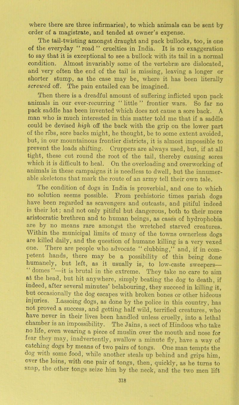 where there are three infirmaries), to which animals can be sent by order of a magistrate, and tended at owner’s expense. The tail-twisting amongst draught and pack bullocks, too, is one of the everyday “ road ” cruelties in India. It is no exaggeration to say that it is exceptional to see a bullock with its tail in a normal condition. Almost invariably some of the vertebrae are dislocated, and very often the end of the tail is missing, leaving a longer or shorter stump, as the case may be, where it has been literally screwed off. The pain entailed can be imagined. Then there is a dreadful amount of suffering inflicted upon pack animals in our ever-recurring ‘ ‘ little ’ ’ frontier wars. So far no pack saddle has been invented which does not cause a sore back. A man who is much interested in this matter told me that if a saddle could be devised high off the back with the grip on the lower part of the ribs, sore backs might, he thought, be to some extent avoided, but, in our mountainous frontier districts, it is almost impossible to prevent the loads shifting. Cruppers are always used, but, if at all tight, these cut round the root of the tail, thereby causing sores which it is difficult to heal. On the overloading and overworking of animals in these campaigns it is needless to dwell, but the innumer- able skeletons that mark the route of an army tell their own tale. The condition of dogs in India is proverbial, and one to which no solution seems possible. From prehistoric times pariah dogs have been regarded as scavengers and outcasts, and pitiful indeed is their lot; and not only pitiful but dangerous, both to their more aristocratic brethren and to human beings, as cases of hydrophobia are by no means rare amongst the wretched starved creatures. Within the municipal limits of many of the towns ownerless dogs are killed daily, and the question of humane killing is a very vexed one. There are people who advocate “ clubbing,” and, if in com- petent hands, there may be a possibility of this being done humanely, but left, as it usually is, to low-caste sweepers— “ domes”—it is brutal in the extreme. They take no care to aim at the head, but hit anywhere, simply beating the dog to death, if indeed, after several minutes’ belabouring, they succeed in killing it, but occasionally the dog escapes with broken bones or other hideous injuries. Lassoing dogs, as done by the police in this country, has not proved a success, and getting half wild, terrified creatures, who have never in their lives been handled unless cruelly, into a lethal chamber is an impossibility. The Jains, a sect of Hindoos who take no life, even wearing a piece of muslin over the mouth and nose for fear they may, inadvertently, swallow a minute fly, have a way of catching dogs by means of two pairs of tongs. One man tempts the dog with some food, while another steals up behind and grips him, over the loins, with one pair of tongs, then, quickly, as lie turns to snap, the other tongs seize him by the neck, and the two men lift