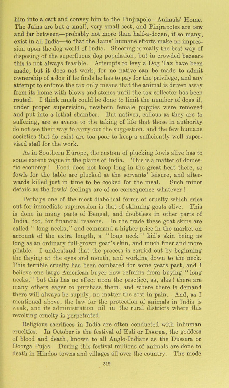 him into a cart and convey him to the Pinjrapole—Animals’ Home. The Jains are but a small, very small sect, and Pinjrapoies are tew and far between—probably not more than half-a-dozen, if so many, exist in all India—so that the Jains’ humane efforts make no impres- sion upon the dog world of India. Shooting is really the best way of disposing of the superfluous dog population, but in crowded bazaars this is not always feasible. Attempts to levy a Dog Tax have been made, but it does not work, for no native can be made to admit ownership of a dog if he finds he has to pay for the privilege, and any attempt to enforce the tax only means that the animal is driven away from its home with blows and stones until the tax collector has been routed. I think much could be done to limit the number of dogs if, under proper supervision, newborn female puppies were removed and put into a lethal chamber. But natives, callous as they are to suffering, are so averse to the taking of life that those in authority do not see their way to carry out the suggestion, and the few humane societies that do exist are too poor to keep a sufficiently well super- vised staff for the work. As in Southern Europe, the custom of plucking fowls alive has to some extent vogue in the plains of India. This is a matter of domes- tic economy ! Food does not keep long in the great heat there, so fowls for the table are plucked at the servants’ leisure, and after- wards killed just in time to be cooked for the meal. Such minor details as the fowls’ feelings are of no consequence whatever! Perhaps one of the most diabolical forms of cruelty which cries out for immediate suppression is that of skinning goats alive. This is done in many parts of Bengal, and doubtless in other parts of India, too, for financial reasons. In the trade these goat skins are called “ long necks,” and command a higher price in the market on account of the extra length, a “ long neck ” kid’s skin being as long as an ordinary full-grown goat’s skin, and much finer and more pliable. I understand that the process is carried out by beginning the flaying at the eyes and mouth, and working down to the neck. This terrible cruelty has been combated for some years past, and I believe one large Amencan buyer now refrains from buying “ long necks,” but this has no effect upon the practice, as, alas ! there are many others eager to purchase them, and where there is demand there will always be supply, no matter the cost in pain. And, as I mentioned above, the law for the protection of animals in India is weak, and its administration nil in the rural districts where this revolting cruelty is perpetrated. Religious sacrifices in India are often conducted with inhuman cruelties. In October is the festival of Kali or Doorga, the goddess of blood and death, known to all Anglo-Indians as the Dussera or Doorga Pujas. During this festival millions of animals are done to death in Hindoo towns and villages all over the country. The mode