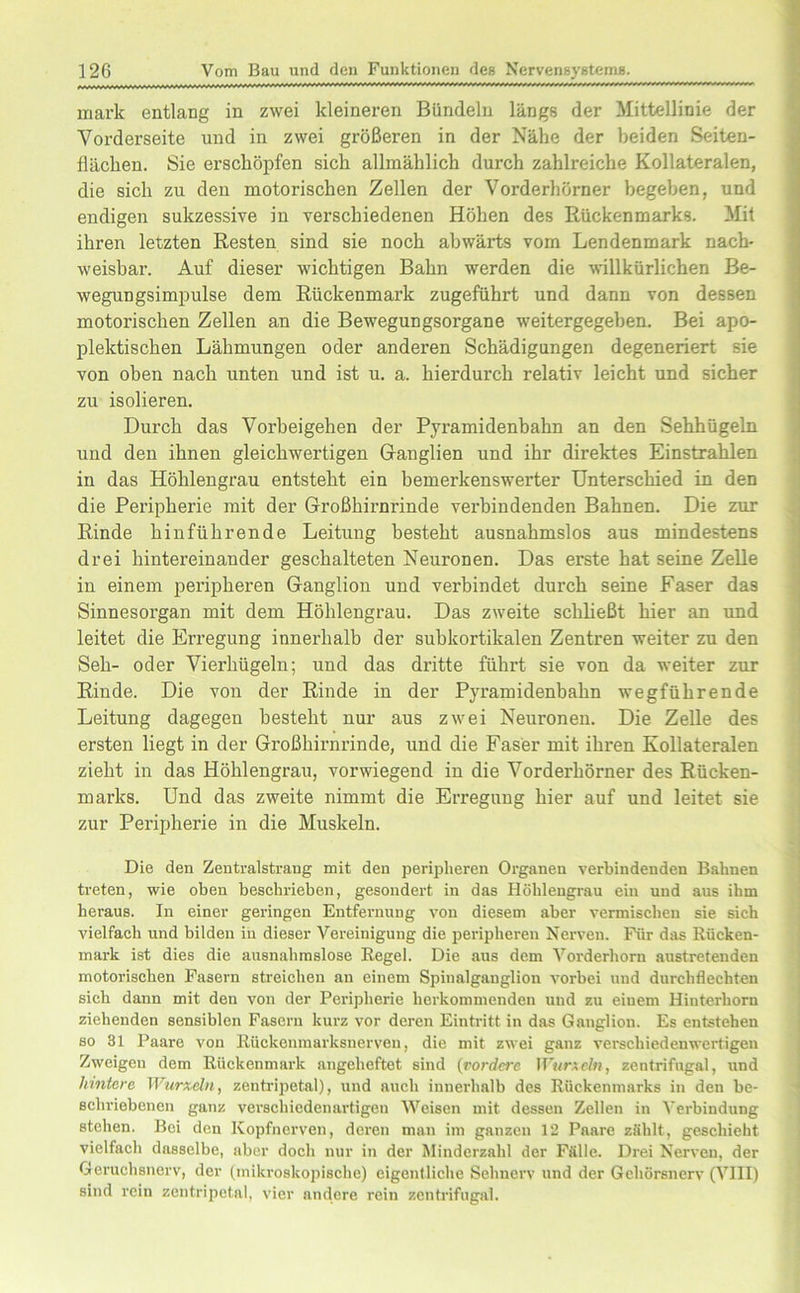 mark entlang in zwei kleineren Bündeln längs der Mittellinie der Vorderseite und in zwei größeren in der Nähe der beiden Seiten- flächen. Sie erschöpfen sich allmählich durch zahlreiche Kollateralen, die sich zu den motorischen Zellen der Vorderhörner begehen, und endigen sukzessive in verschiedenen Höhen des Rückenmarks. Mit ihren letzten Resten sind sie noch abwärts vom Lendenmark nach- weisbar. Auf dieser wichtigen Bahn werden die willkürlichen Be- wegungsimpulse dem Rückenmark zugeführt und dann von dessen motorischen Zellen an die Bewegungsorgane weitergegeben. Bei apo- plektischen Lähmungen oder anderen Schädigungen degeneriert sie von oben nach unten und ist u. a. hierdurch relativ leicht und sicher zu isolieren. Durch das Vorbeigehen der Pyramidenbahn an den Sehhügeln und den ihnen gleichwertigen Ganglien und ihr direktes Einstrahlen in das Höhlengrau entsteht ein bemerkenswerter Unterschied in den die Peripherie mit der Großhirnrinde verbindenden Bahnen. Die zur Rinde hinführende Leitung besteht ausnahmslos aus mindestens drei hintereinander geschalteten Neuronen. Das erste hat seine Zelle in einem peripheren Ganglion und verbindet durch seine Faser das Sinnesorgan mit dem Höhlengrau. Das zweite schließt hier an und leitet die Erregung innerhalb der subkortikalen Zentren weiter zu den Seh- oder Vierhügeln; und das dritte führt sie von da weiter zur Rinde. Die von der Rinde in der Pyramidenbahn wegführende Leitung dagegen besteht nur aus zwei Neuronen. Die Zelle des ersten liegt in der Großhirnrinde, und die Faser mit ihren Kollateralen zieht in das Höhlengrau, vorwiegend in die Vorderhörner des Rücken- marks. Und das zweite nimmt die Erregung hier auf und leitet sie zur Peripherie in die Muskeln. Die den Zentralstrang mit den peripheren Organen verbindenden Bahnen treten, wie oben beschrieben, gesondert in das Höhlengrau ein und aus ihm heraus. In einer geringen Entfernung von diesem aber vermischen sie sich vielfach und bilden in dieser Vereinigung die peripheren Nerven. Für das Rücken- mark ist dies die ausnahmslose Regel. Die aus dem Vorderhorn austretenden motorischen Fasern streichen an einem Spinalganglion vorbei und durchflechten sich dann mit den von der Peripherie herkommenden und zu eiuem Hinterhorn ziehenden sensiblen Fasern kurz vor deren Eintritt in das Ganglion. Es entstehen so 31 Paare von Rückenmarksnerven, die mit zwei ganz verschiedenwertigen Zweigen dem Rückenmark angeheftet sind (vordere Wurxein, zentrifugal, und hintere Wurzeln, zentripetal), und auch innerhalb des Rückenmarks in den be- schriebenen ganz verschiedenartigen Weisen mit dessen Zellen in Verbindung stehen. Bei den Kopfnerven, deren man im ganzen 12 Paare zählt, geschieht vielfach dasselbe, aber doch nur in der Minderzahl der Fälle. Drei Nerven, der Geruchsnerv, der (mikroskopische) eigentliche Sehnerv und der Gehörsnerv (VIII) sind rein zentripetal, vier andere rein zentrifugal.