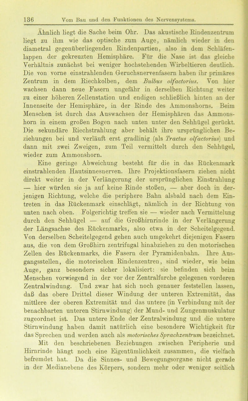 Ähnlich liegt die Sache beim Ohr. Das akustische Rindenzentrum liegt zu ihm wie das optische zum Auge, nämlich wieder in den diametral gegenüberliegenden Rindenpartien, also in dem Schläfen- lappen der gekreuzten Hemisphäre. Für die Nase ist das gleiche Verhältnis zunächst bei weniger hochstehenden Wirbeltieren deutlich. Die von vorne einstrahlenden Geruchsnervenfasem haben ihr primäres Zentrum in dem Riechkolben, dem Bulbus olfactorius. Von hier wachsen dann neue Fasern ungefähr in derselben Richtung weiter zu einer höheren Zellenstation und endigen schließlich hinten an der Innenseite der Hemisphäre, in der Rinde des Ammonshorns. Beim Menschen ist durch das Auswachsen der Hemisphären das Ammons- horn in einem großen Bogen nach unten unter den Sehhügel gerückt. Die sekundäre Riechstrahlung aber behält ihre ursprünglichen Be- ziehungen bei und verläuft erst gradlinig (als Tractus olfactorius) und dann mit zwei Zweigen, zum Teil vermittelt durch den Sehhügel, wieder zum Ammonshoi’n. Eine geringe Abweichung besteht für die in das Rückenmark einstrahlenden Hautsinnesnerven. Ihre Projektionsfasern ziehen nicht direkt weiter in der Verlängerung der ursprünglichen Einstrahlung — hier würden sie ja auf keine Rinde stoßen, — aber doch in der- jenigen Richtung, welche die periphere Bahn alsbald nach dem Ein- treten in das Rückenmark einschlägt, nämlich in der Richtung von unten nach oben. Folgerichtig treffen sie — wieder nach Vermittelung durch den Sehhügel — auf die Großhirnrinde in der Verlängerung der Längsachse des Rückenmarks, also etw7a in der Scheitelgegend. Von derselben Scheitelgegend gehen auch umgekehrt diejenigen Fasern aus, die von dem Großhirn zentrifugal hinabziehen zu den motorischen Zellen des Rückenmarks, die Fasern der Pyramidenbahn. Ihre Aus- gangsstellen, die motorischen Rindenzentren, sind wieder, wie beim Auge, ganz besonders sicher lokalisiert: sie befinden sich beim Menschen vorwiegend in der vor der Zentralfurche gelegenen vorderen Zentralwindung. Und zwar hat sich noch genauer feststellen lassen, daß das obere Drittel dieser Windung der unteren Extremität, das mittlere der oberen Extremität und das untere (in Verbindung mit der benachbarten unteren Stirnwindung) der Mund- und Zungenmuskulatur zugeordnet ist. Das untere Ende der Zentralwindung und die untere Stirnwindung haben damit natürlich eine besondere Wichtigkeit für das Sprechen und werden auch als motorisches Sprachzentrum bezeichnet. Mit den beschriebenen Beziehungen zwischen Peripherie und Hirnrinde hängt noch eine Eigentümlichkeit zusammen, die vielfach befremdet hat. Da die Sinnes- und Bewegungsorgane nicht gerade in der Medianebene des Körpers, sondern mehr oder weniger seitlich